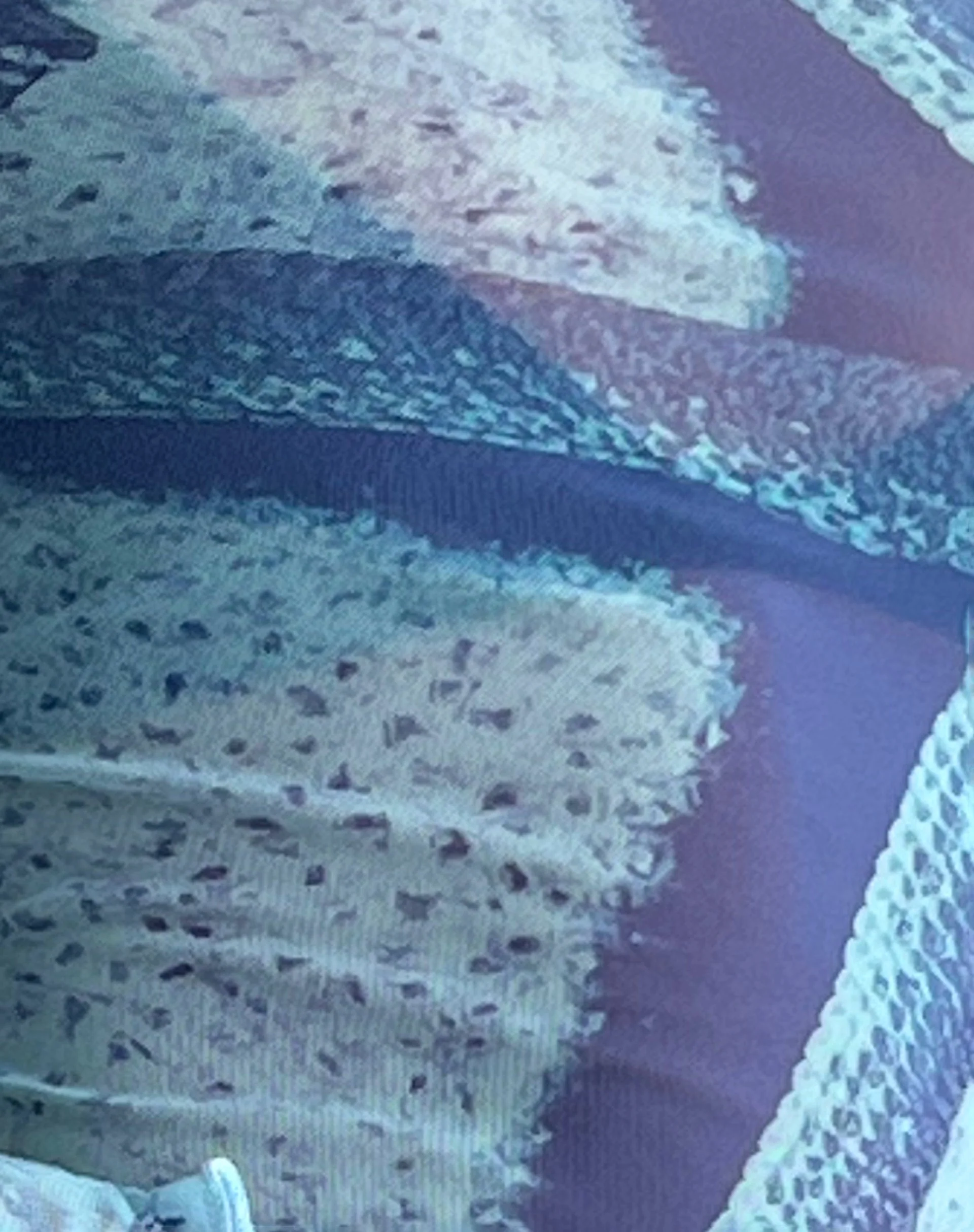 Anchi Mesh Long Sleeve Top in Blau Seestern Fotodruck - Image 7