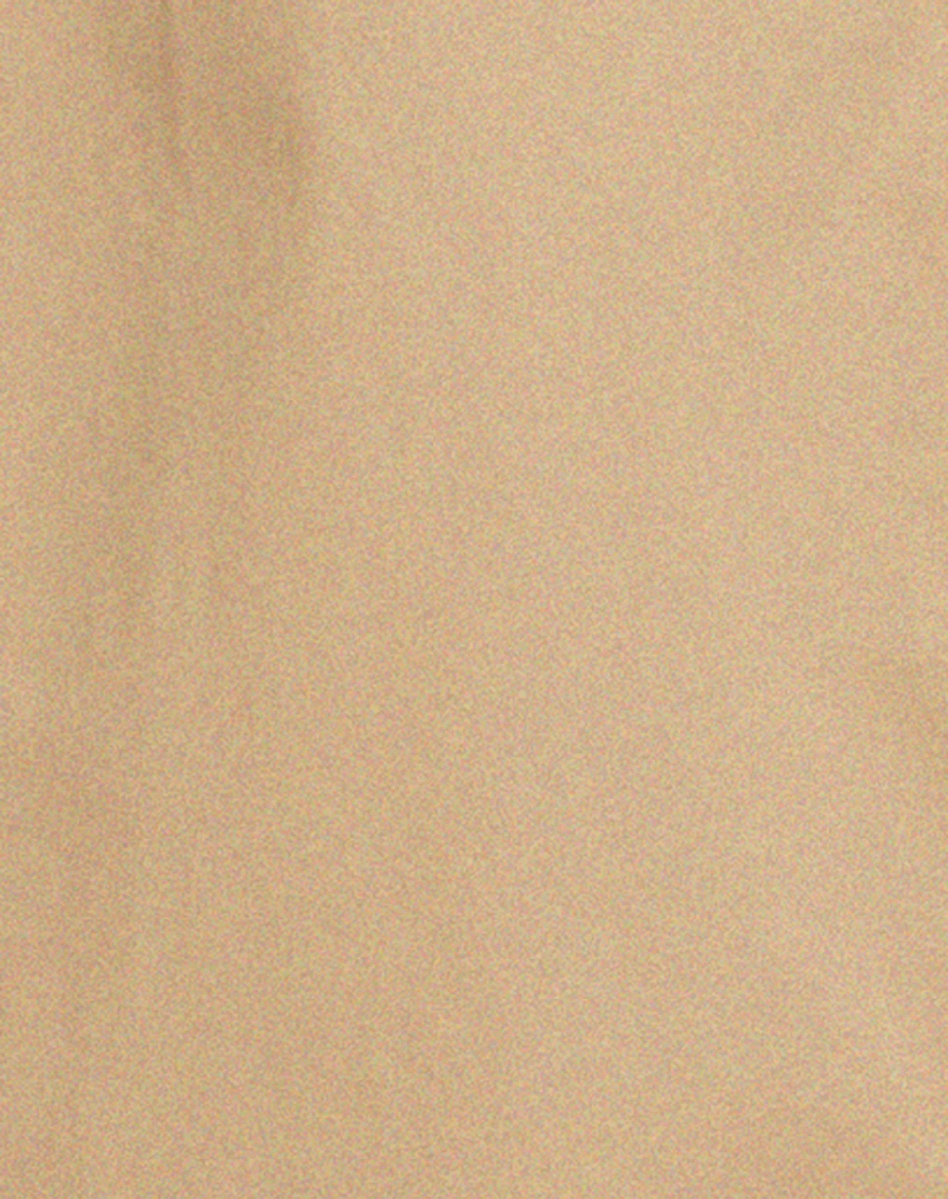 Assa Trenchcoat in Tan mit gestreiftem Innenfutter - Image 6