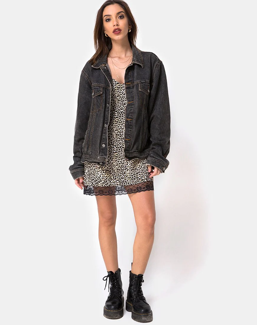 Balace Slip Dress in Rar Leopard mit schwarzer Spitze - Image 3