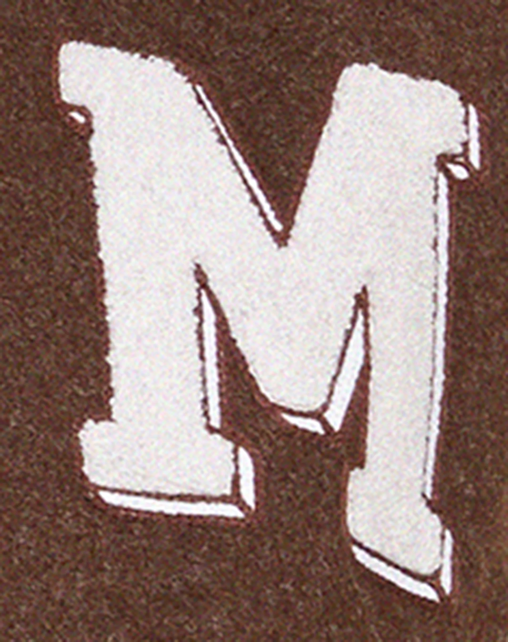 Bama Varsity Jacke in Braun Beige - Image 6
