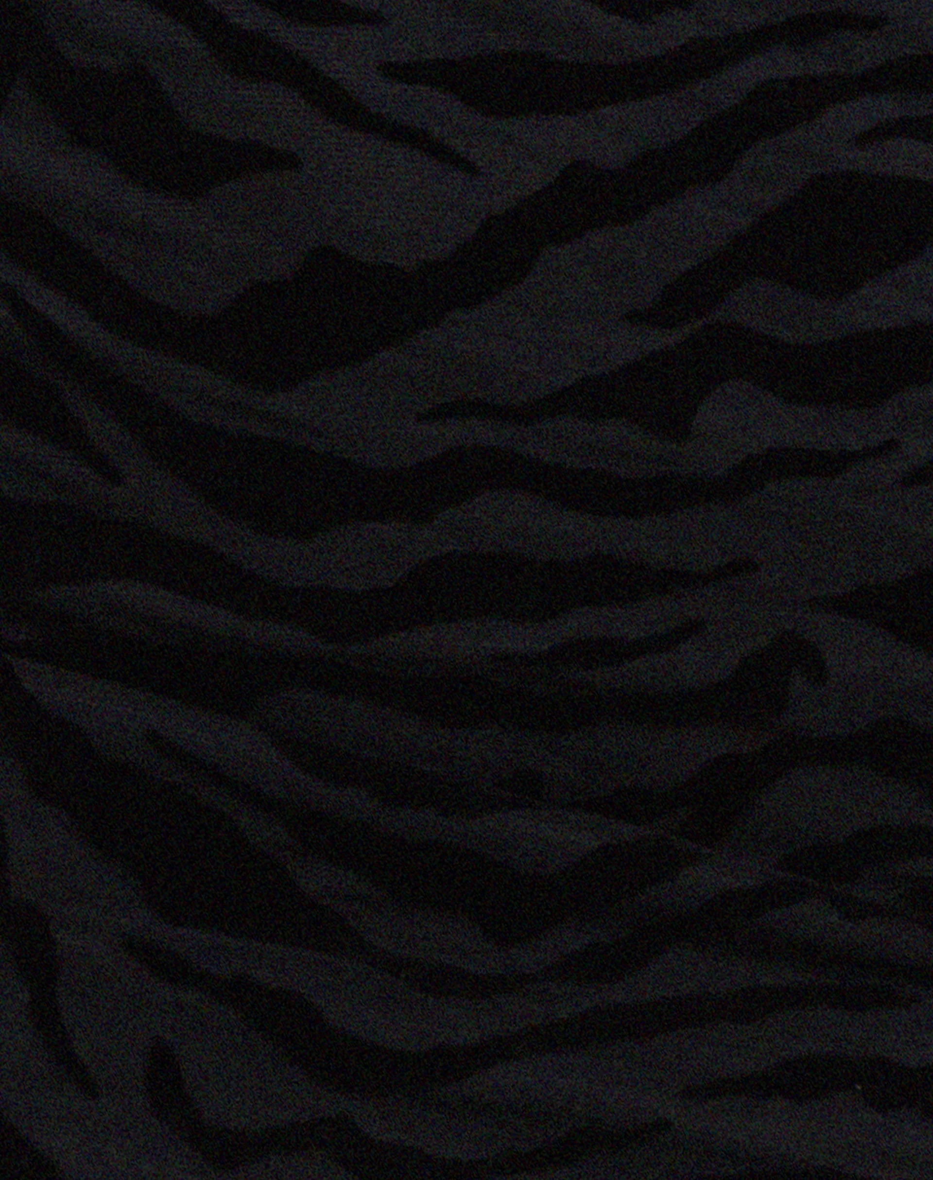 Batia Bodycon-Kleid aus Zebraflocke Schwarz - Image 6