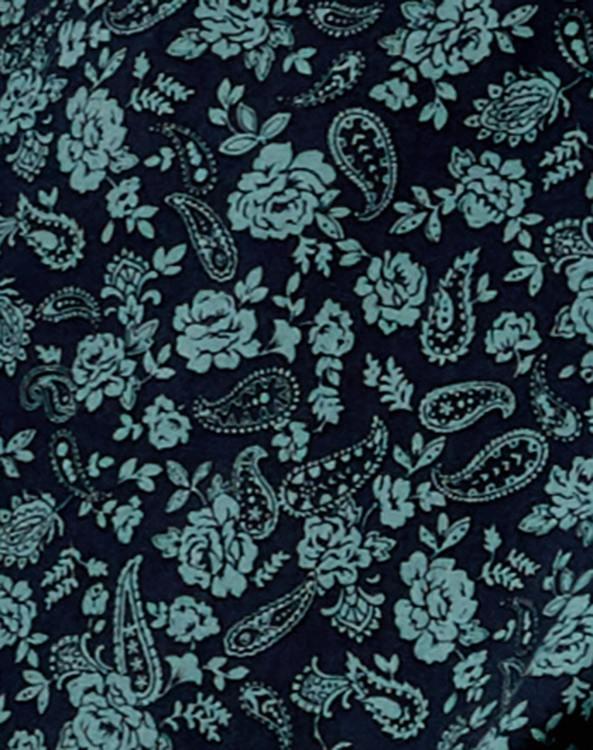 Batis Maxikleid in Mono Paisley Sage - Image 5