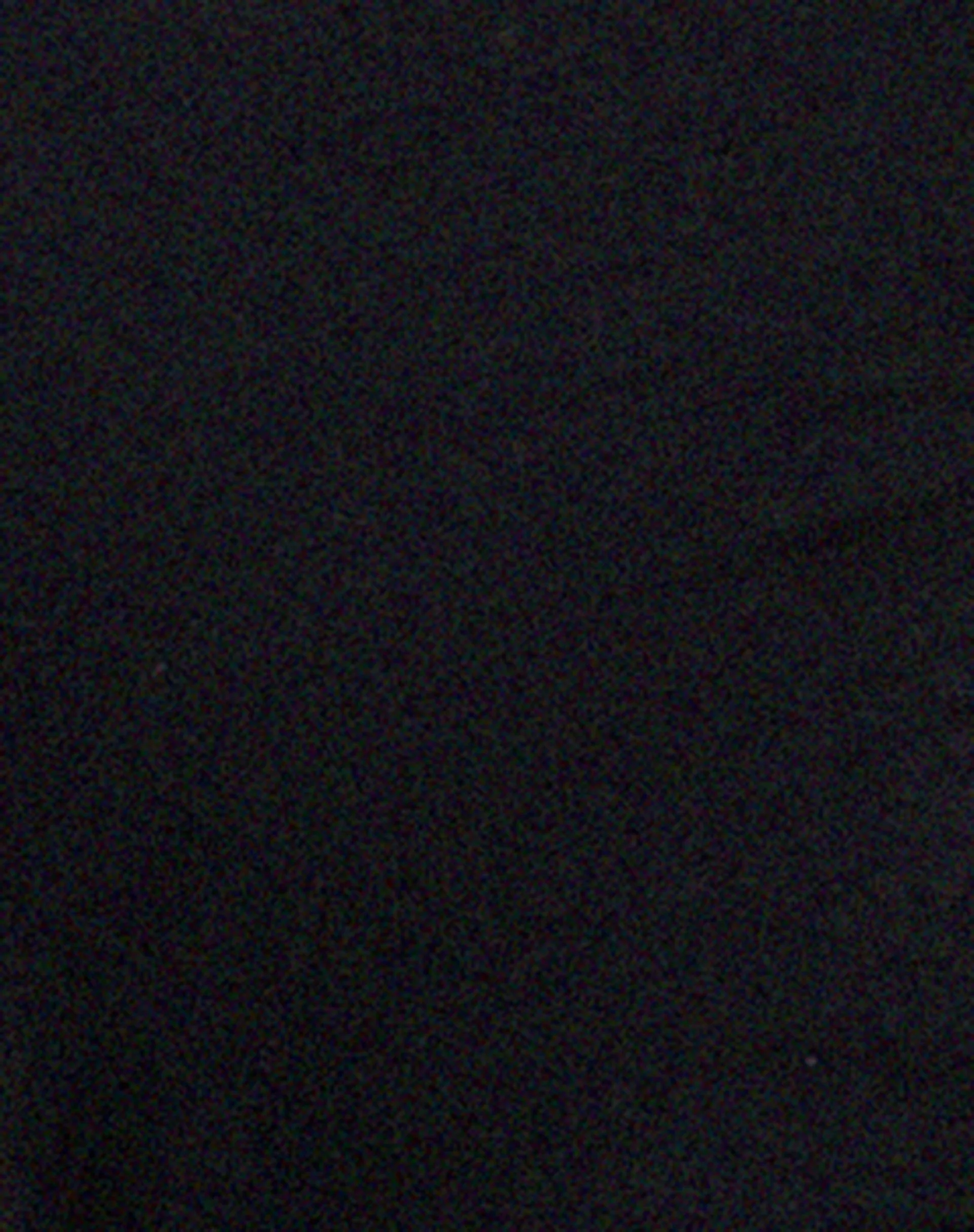 MOTEL X OLIVIA NEILL Bonlo Top in Schwarz - Image 6