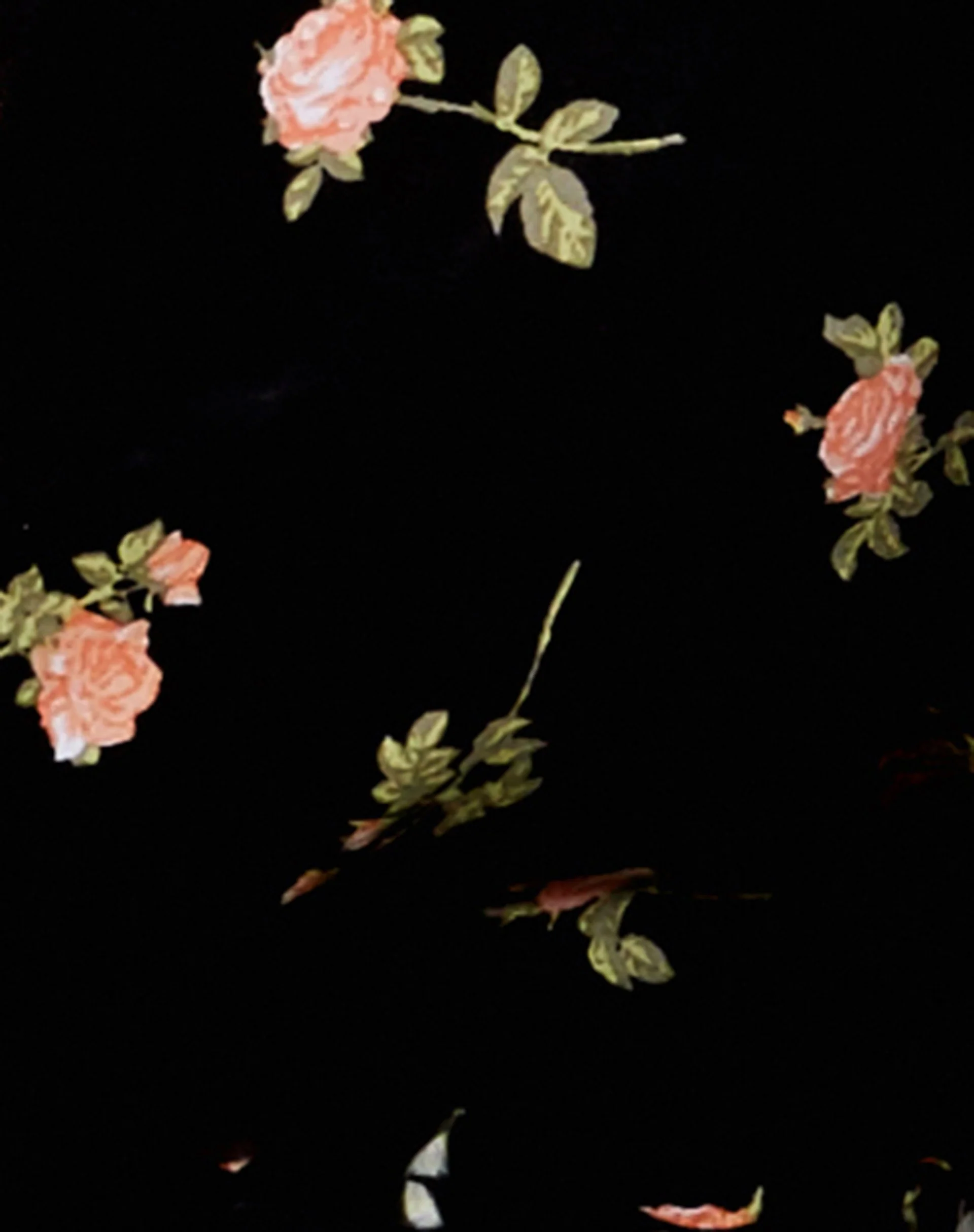 Briza Crop Top in Rose Garden Schwarz - Image 6