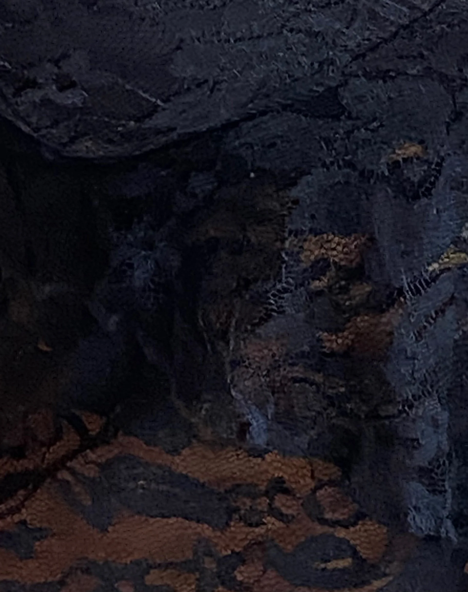 Cojira Spitze Schmetterling Top in Schwarz - Image 6