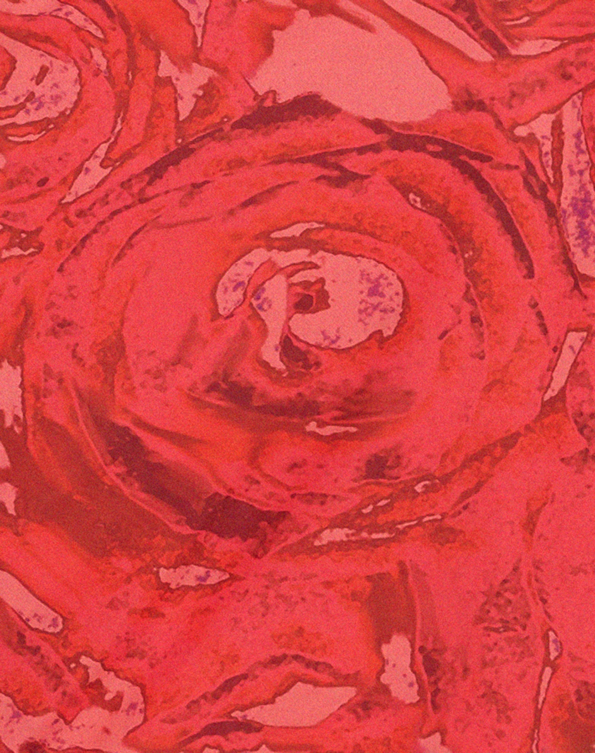 Coya Midikleid in Rosenblütenrot - Image 5