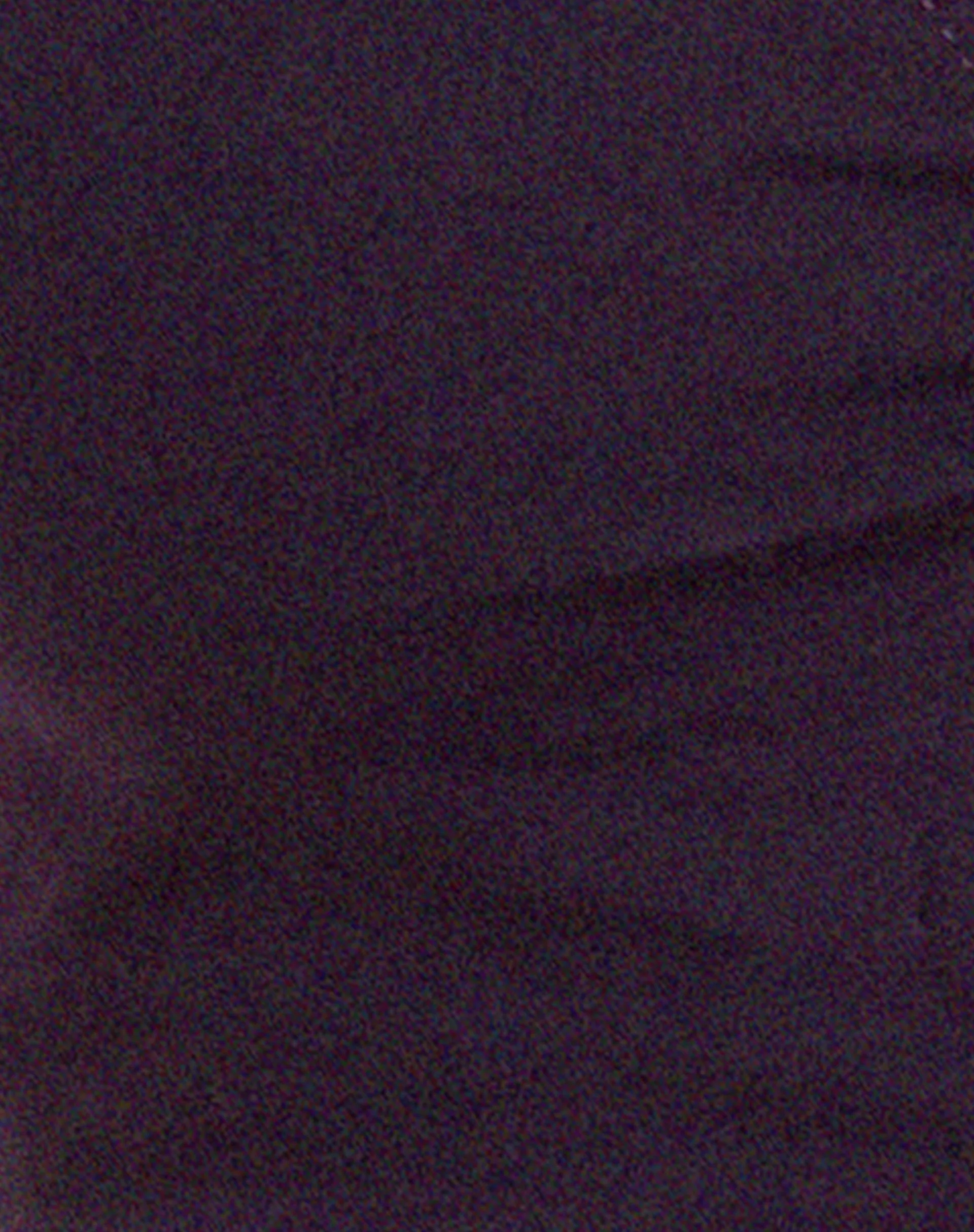 Danica Crop Top in Crown Jewel - Image 5