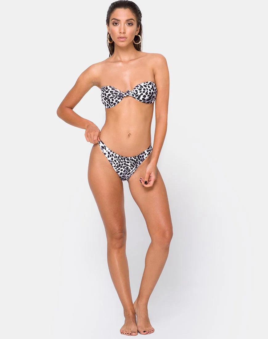 Dita Bikini-Unterteil in Dalmatiner
