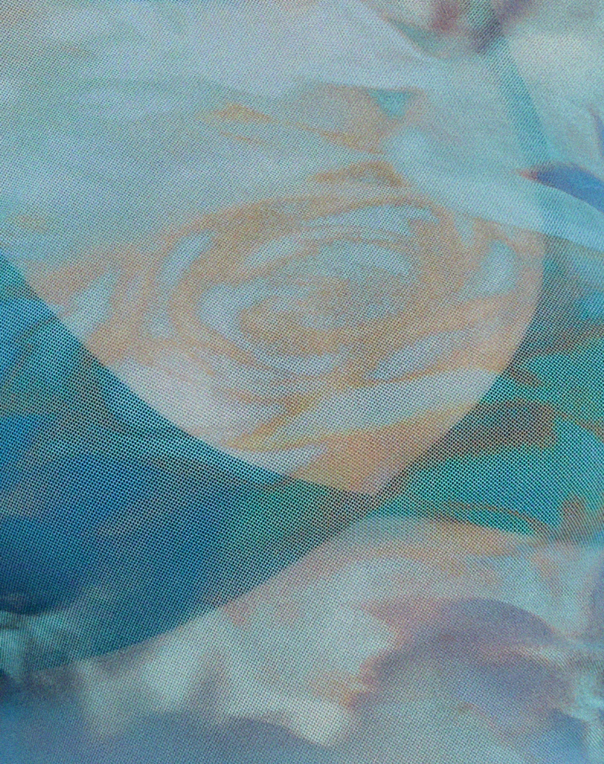 Elijah Crop Top in Digi Petal Blau - Image 6