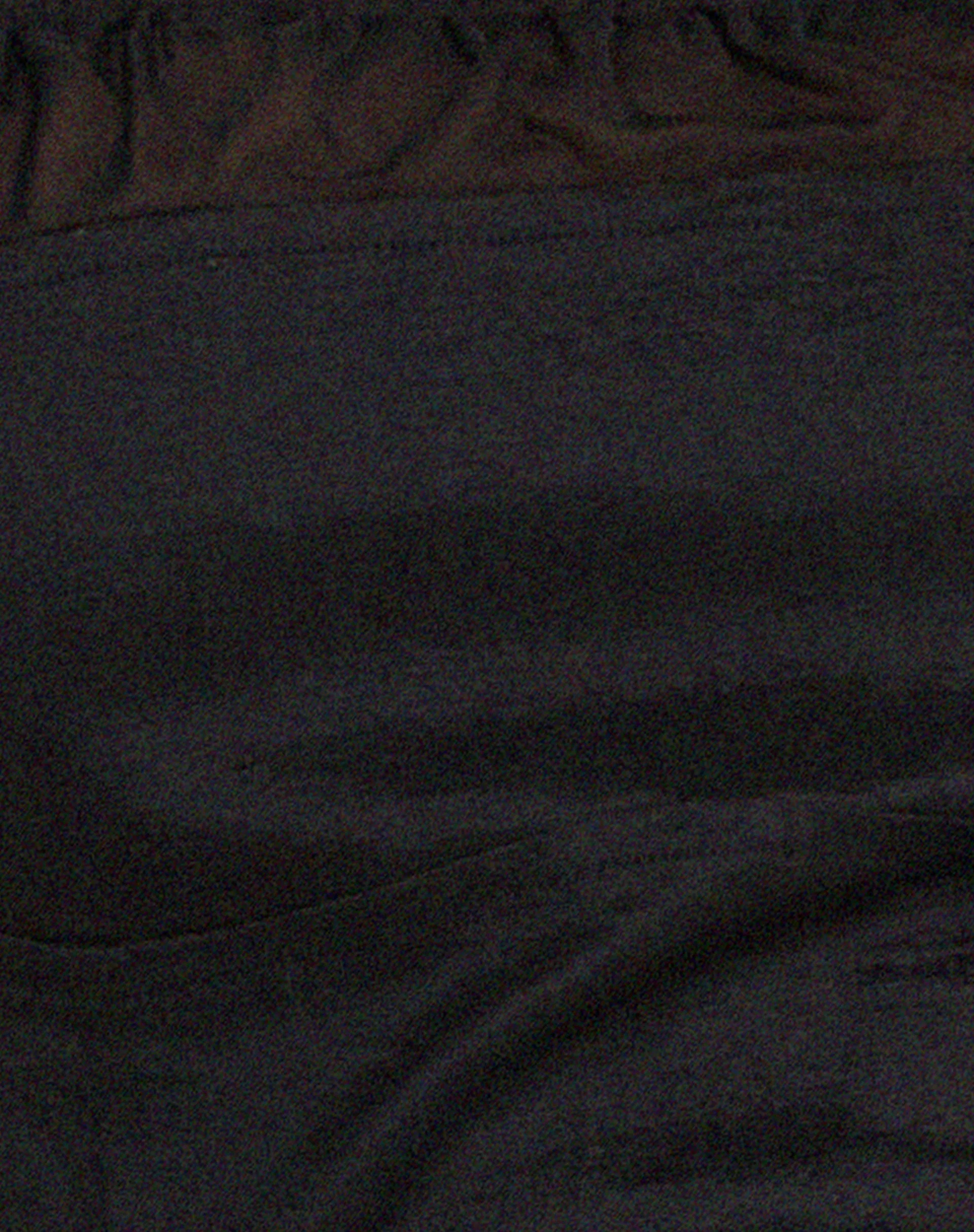 Eluca Cami Top in Schwarz - Image 5
