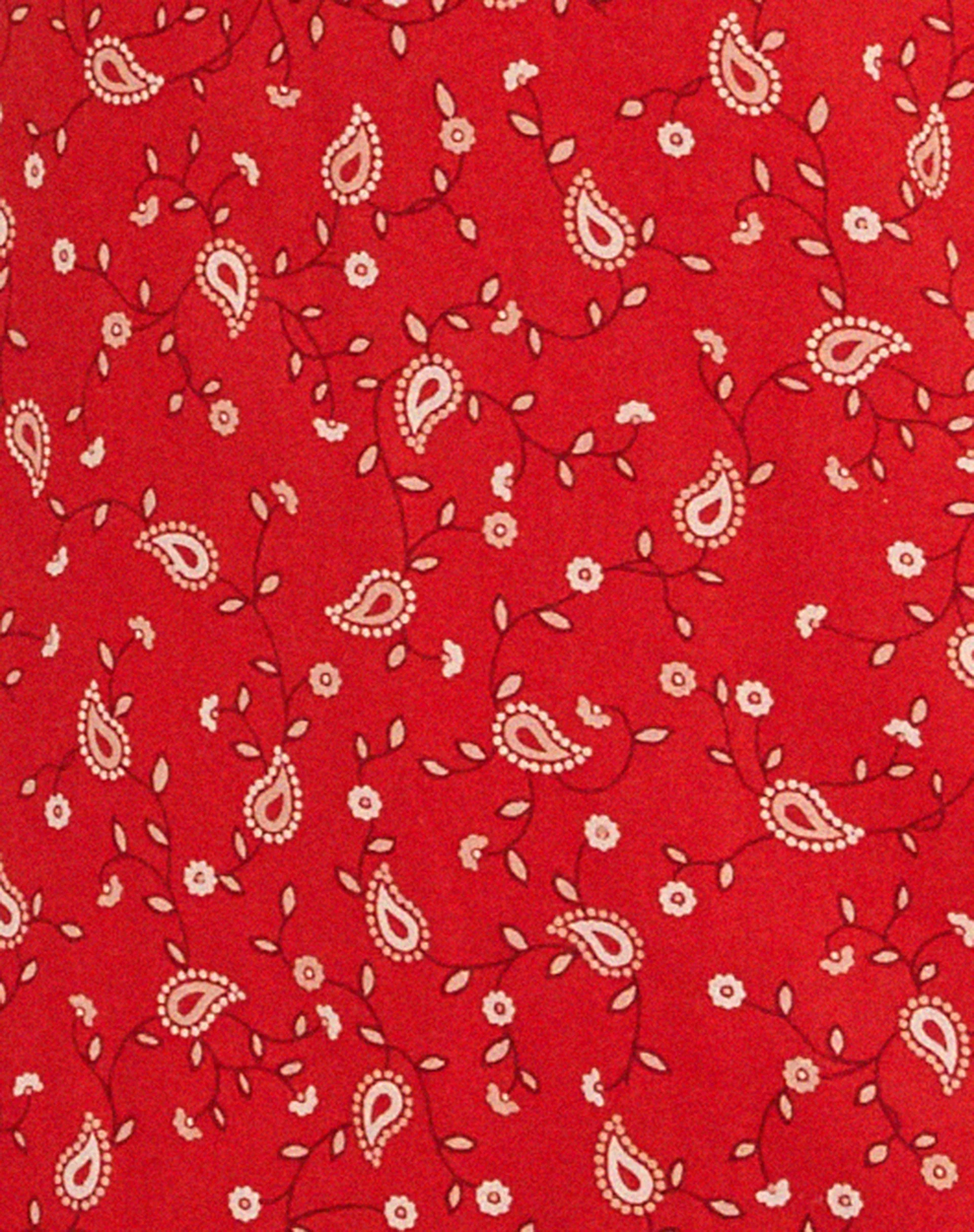 Eluned Tageskleid in Paisley Fun Rot - Image 7