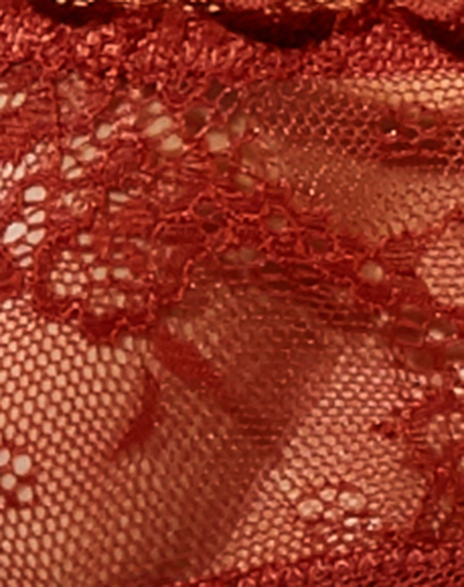 Evelyn Spitzen-Slip in Picante - Image 8