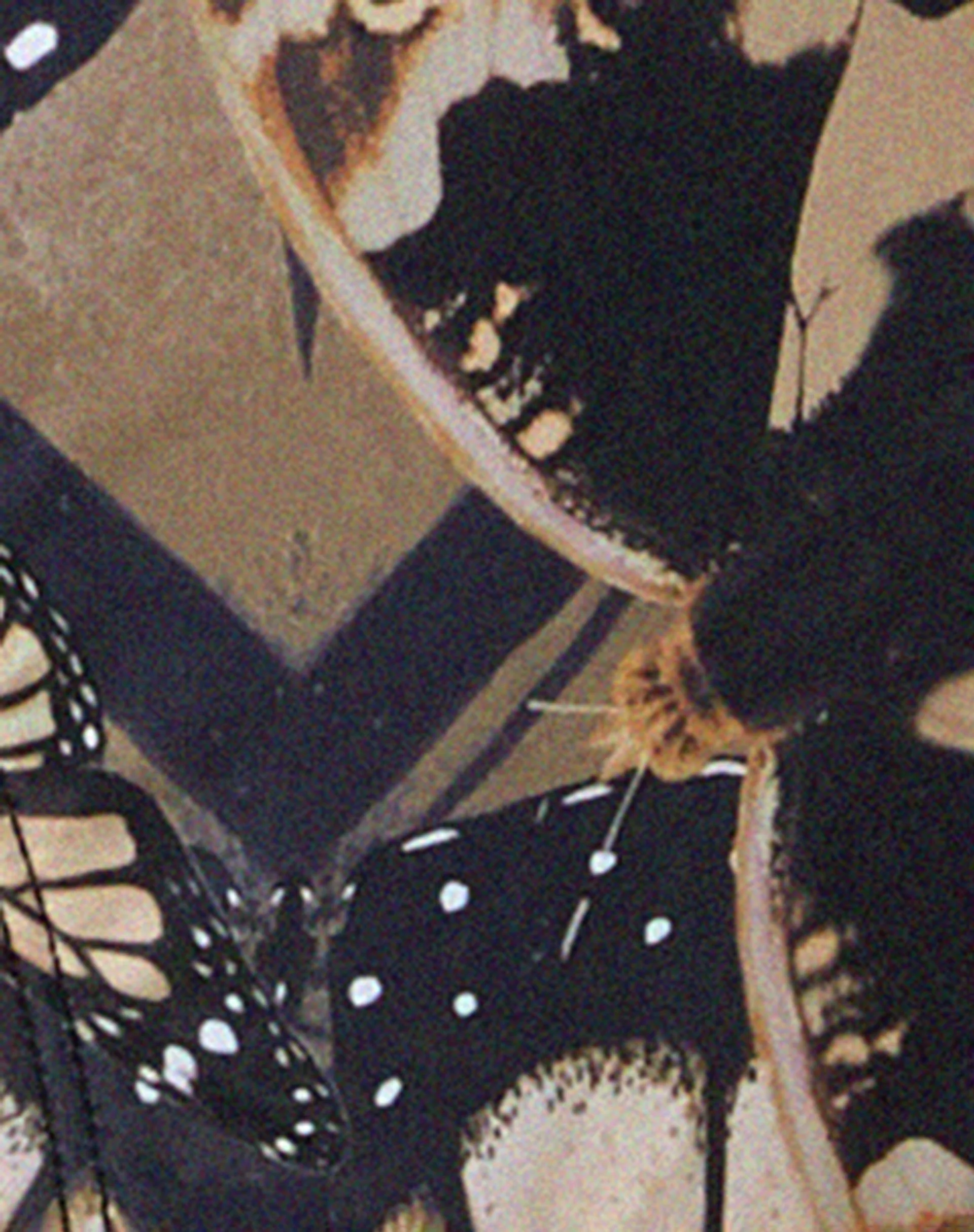 Farida Bikini-Unterteil aus abstraktem Schmetterling Gold - Image 7