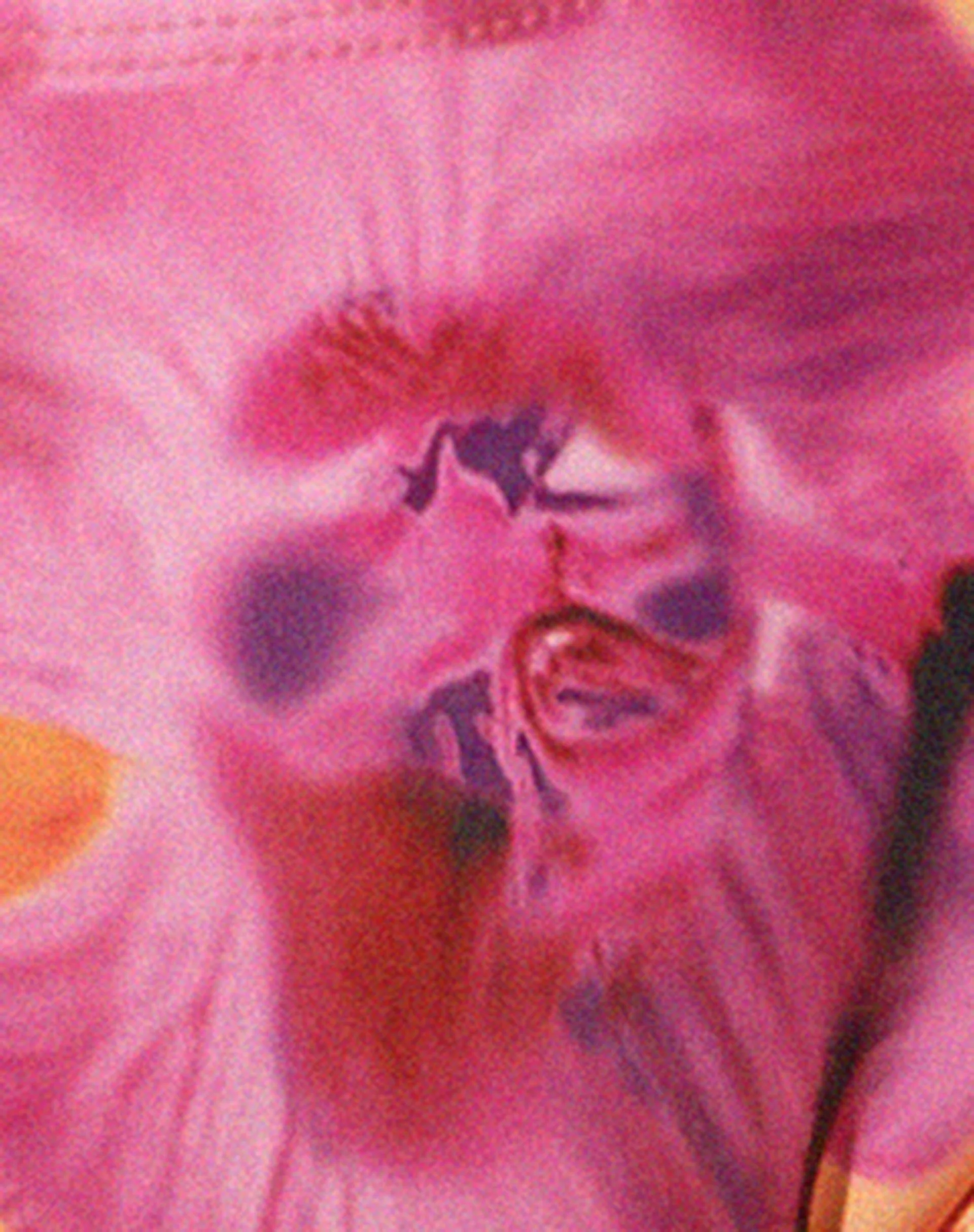 Farida Bikini-Unterteil in Blurred Orchid Peach - Image 7