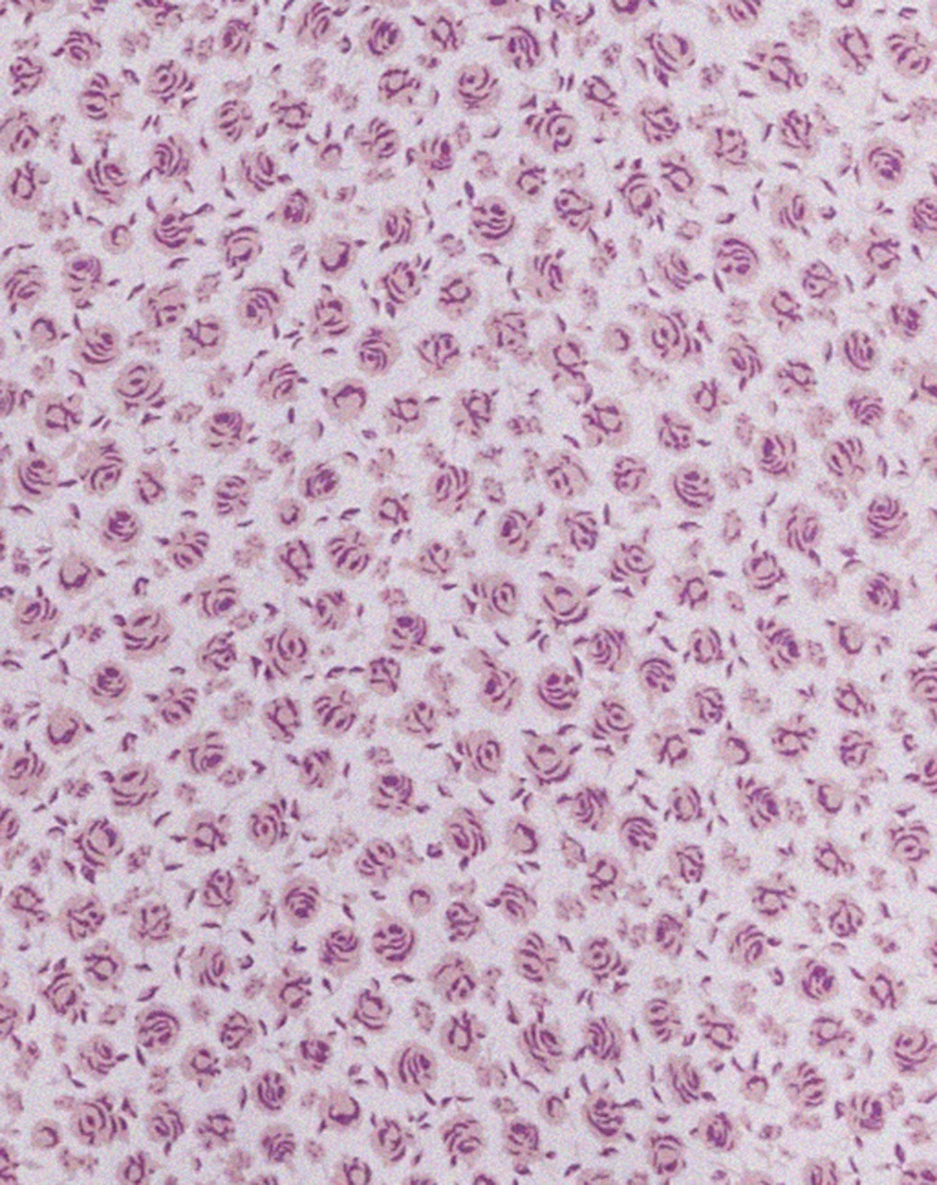 Fiaso Midikleid in Ditsy Rose Flieder - Image 5