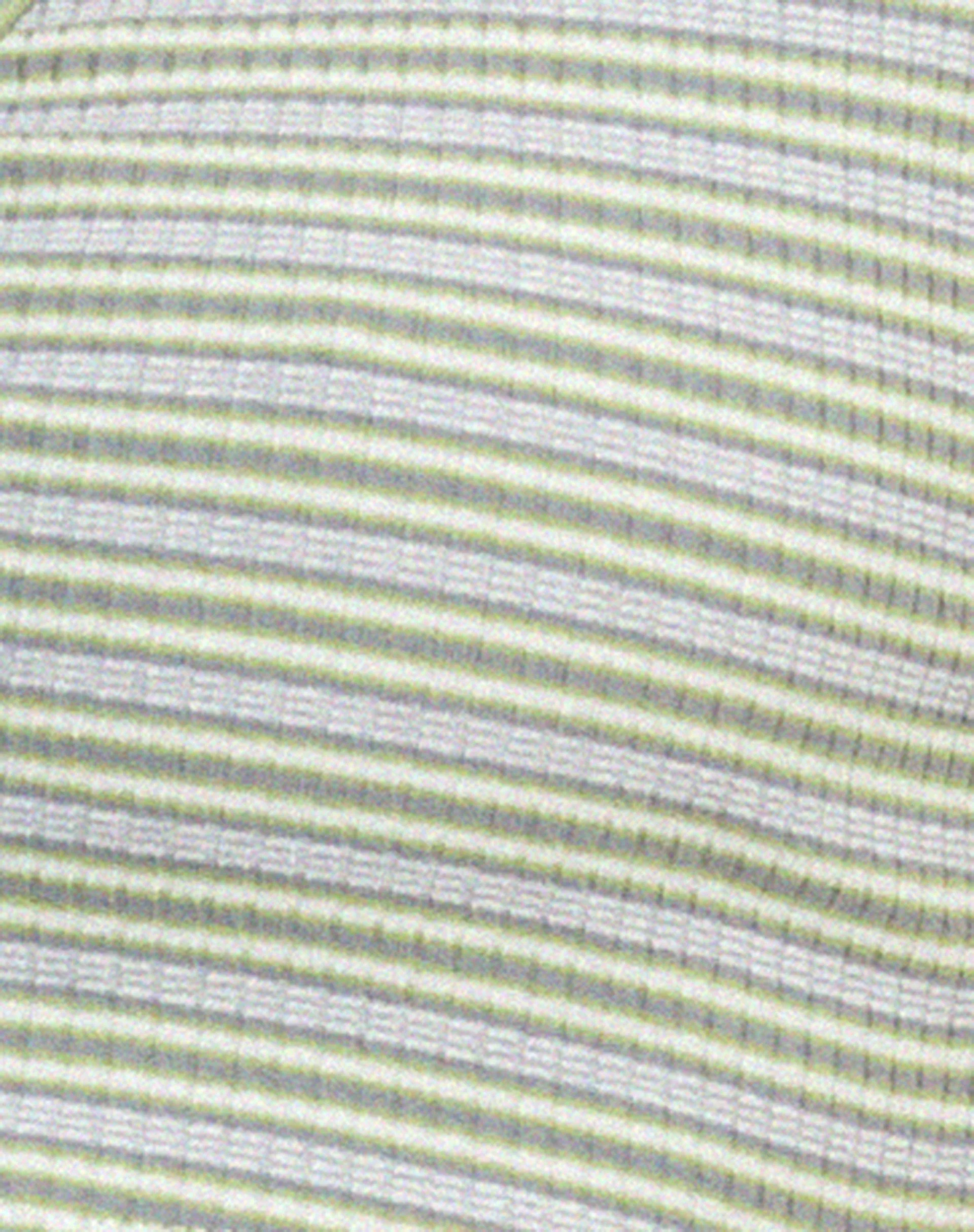 Guanna Crop Top aus gestreifter Rippe in Grün und Grau - Image 6