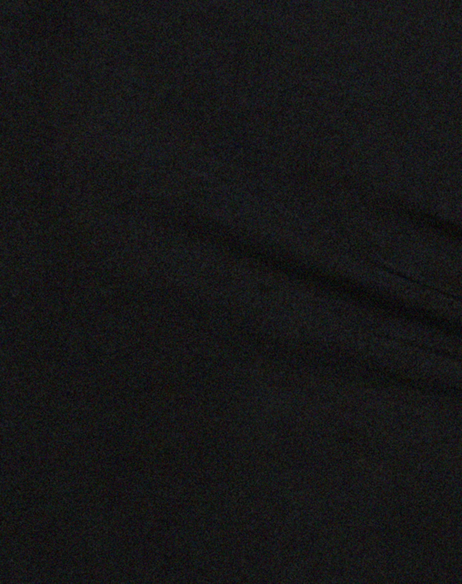 Haldis Maxikleid in Schwarz - Image 6