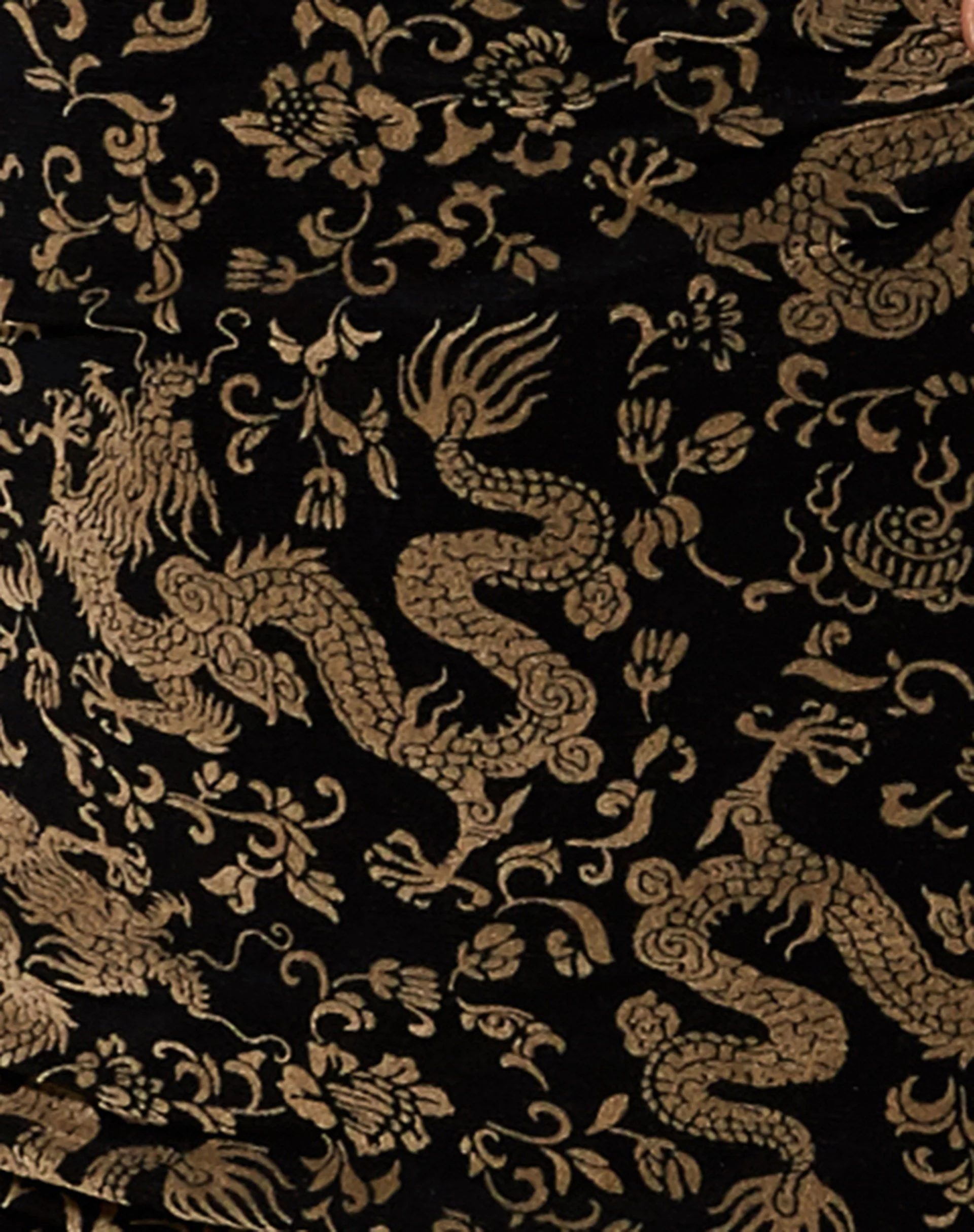 Impho Langärmeliges Kleid in Schwarz Mesh Tan Dragon Flock - Image 5