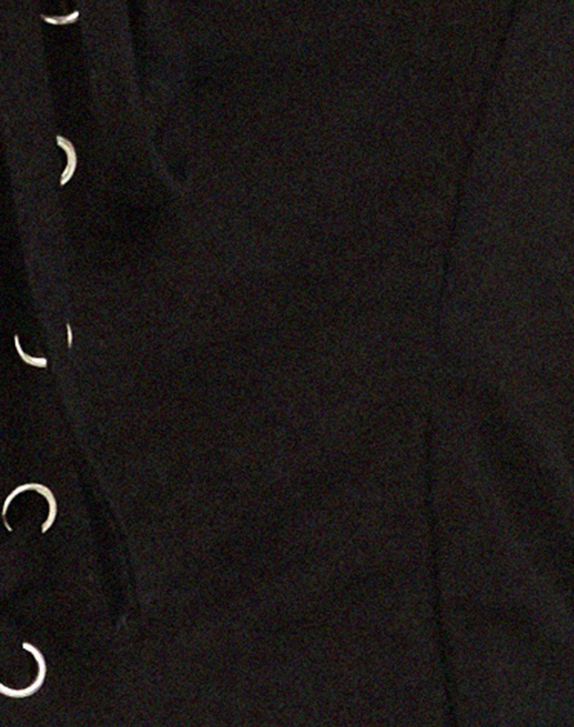 Inga Korsett-Top in Schwarz - Image 7