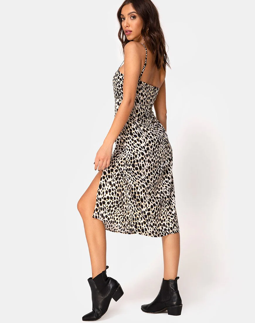Kaoya Midikleid in Cheetah - Image 2