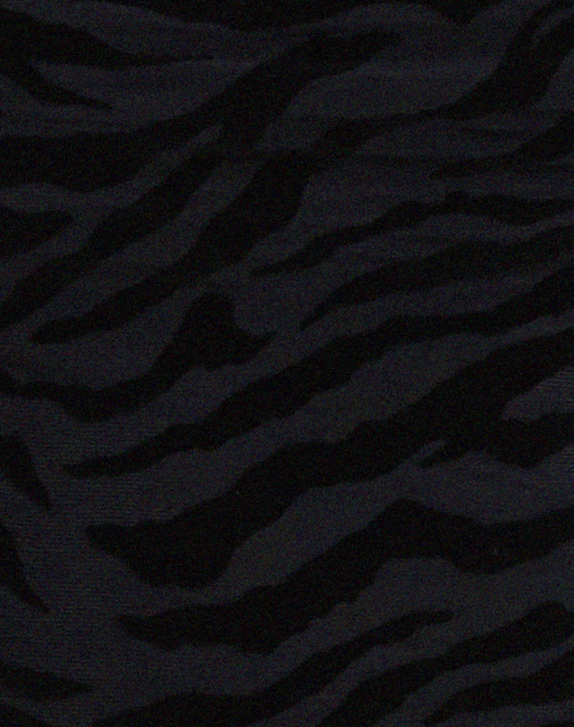 Ketia Crop Top in Zebraflocke Schwarz - Image 6
