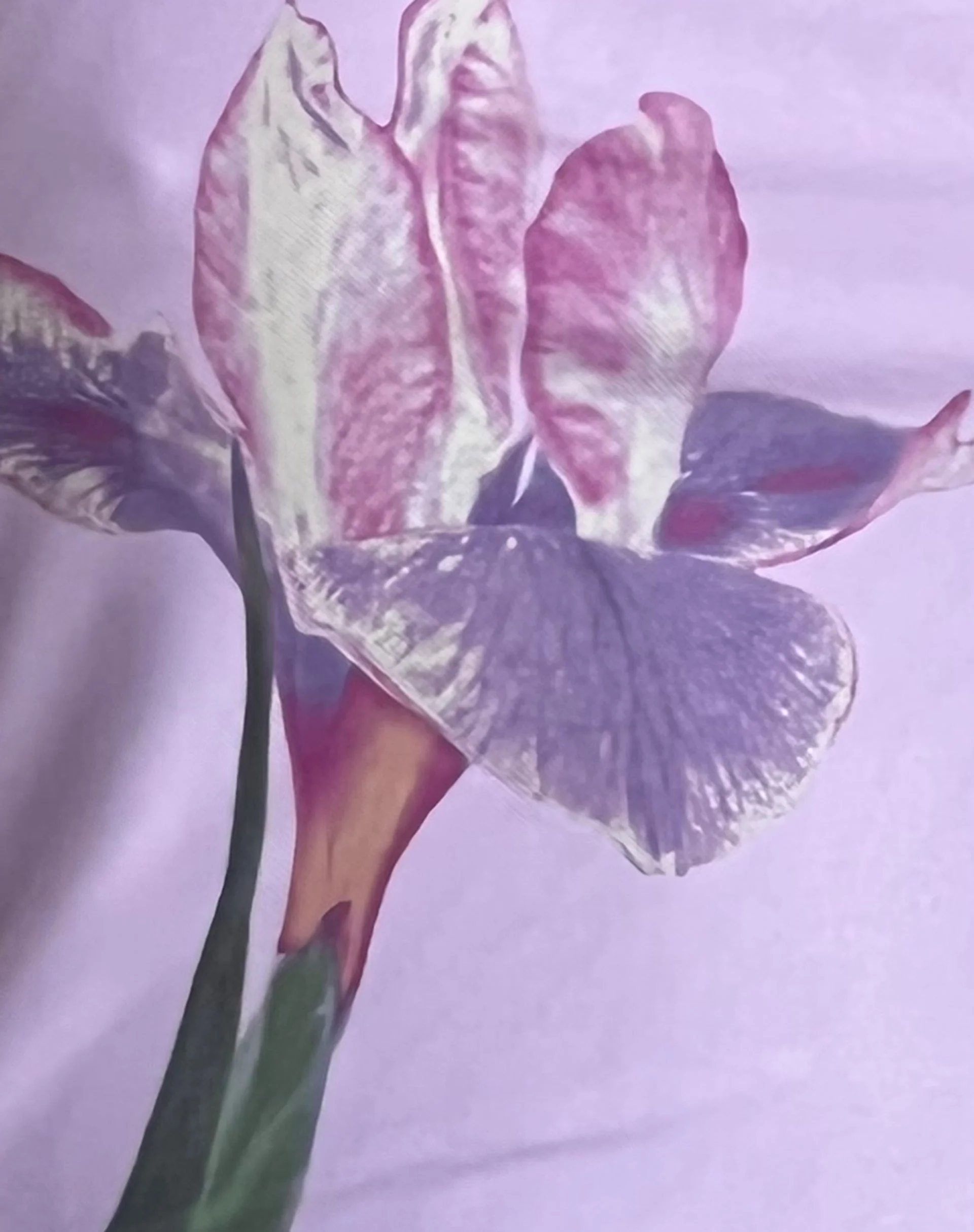 Lassie Midirock in Flieder mit Blumenmuster - Image 4