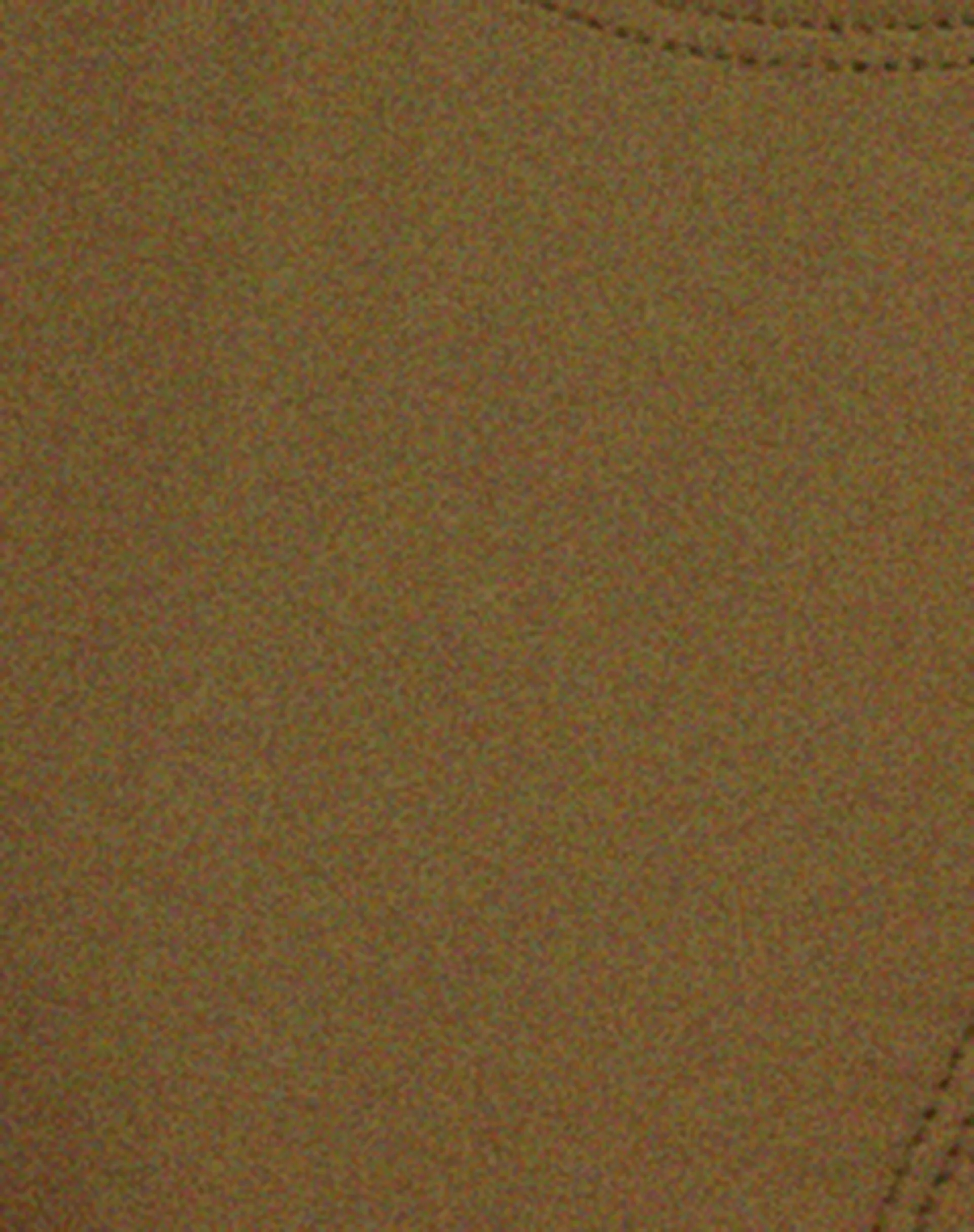 Laufey Bikini-Oberteil in Khaki - Image 8