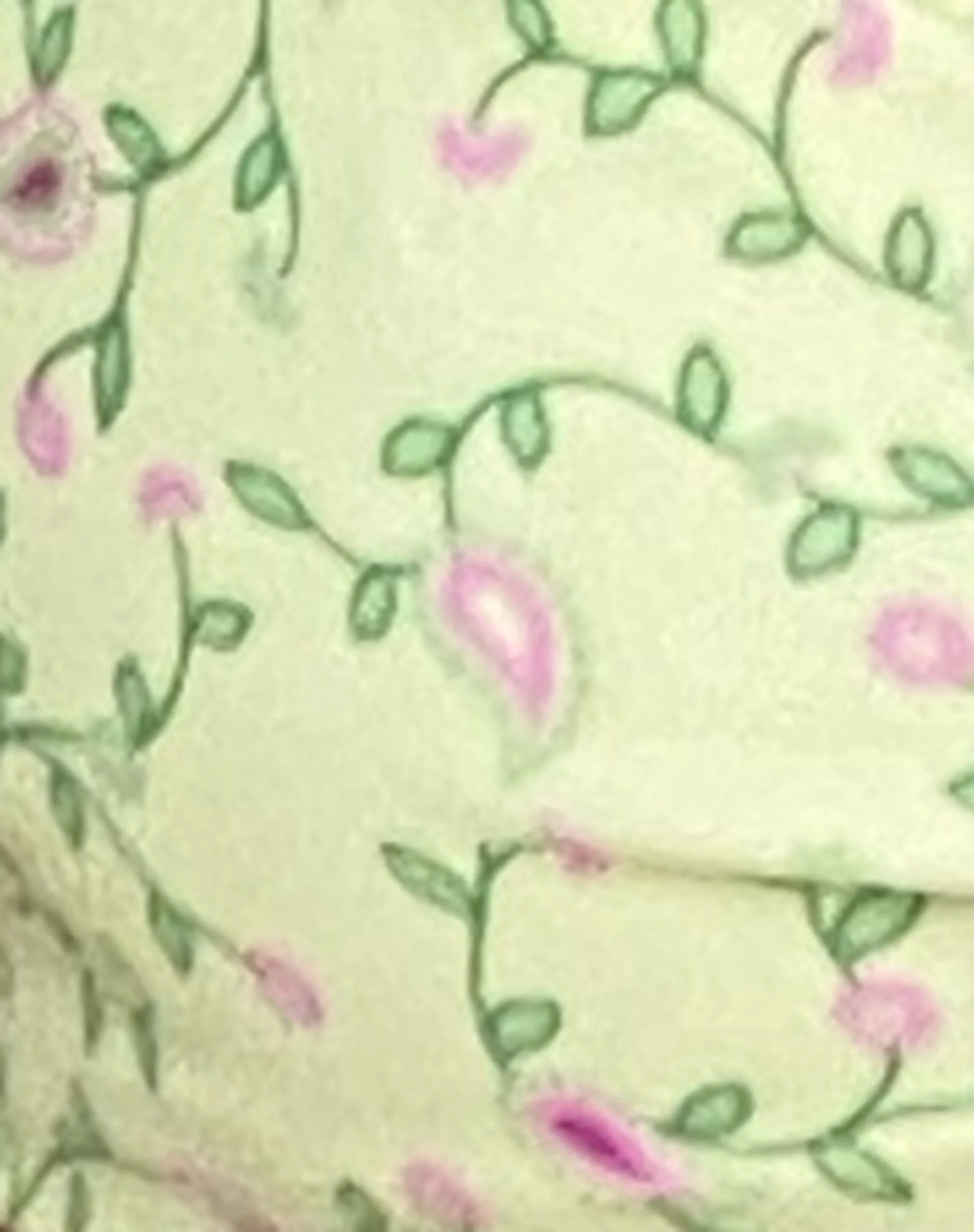 Laufey Bikinioberteil in Paisley Fun Gelb - Image 7