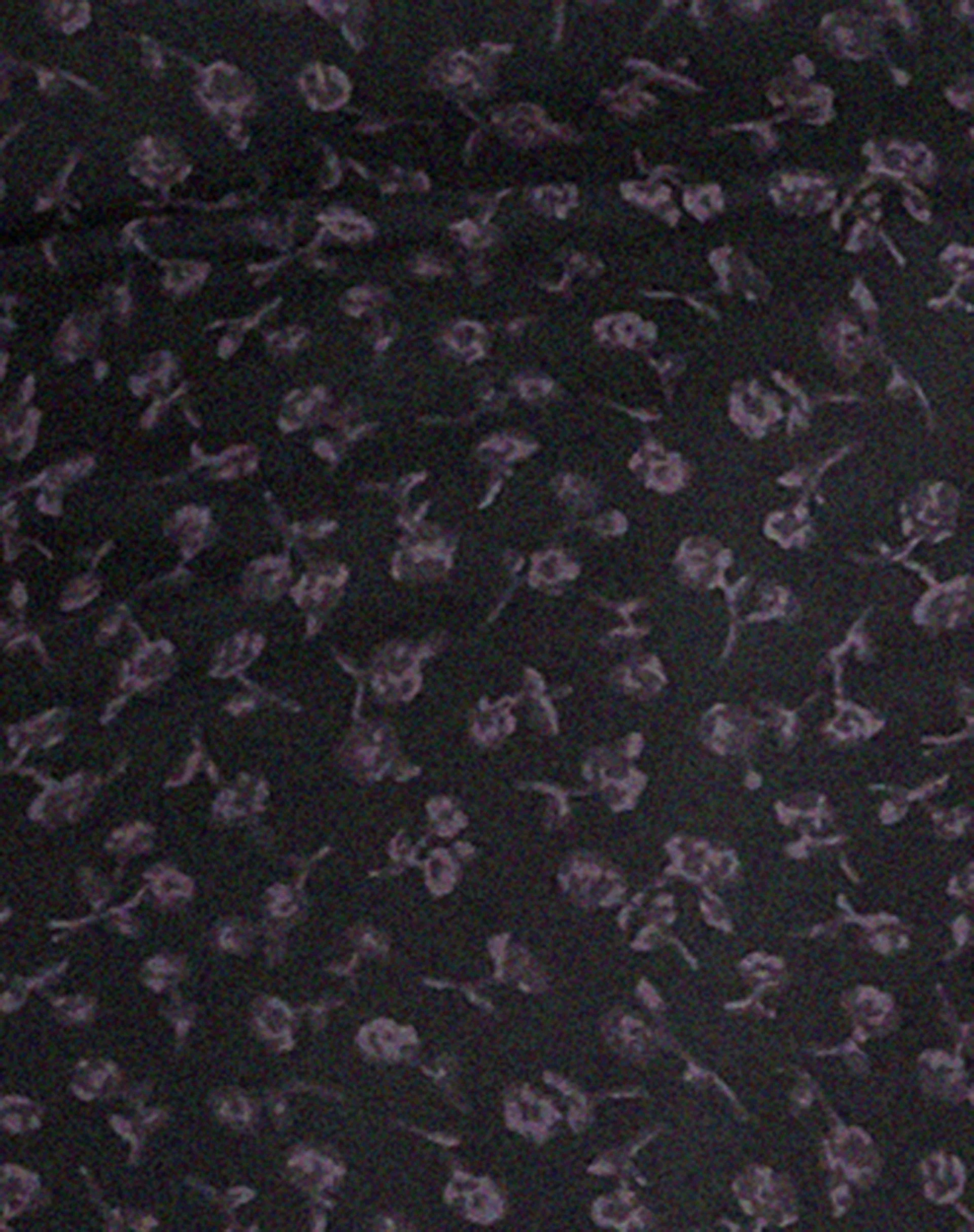 Leony Cardi in Dunklem Ditsy Rose Schwarz - Image 7