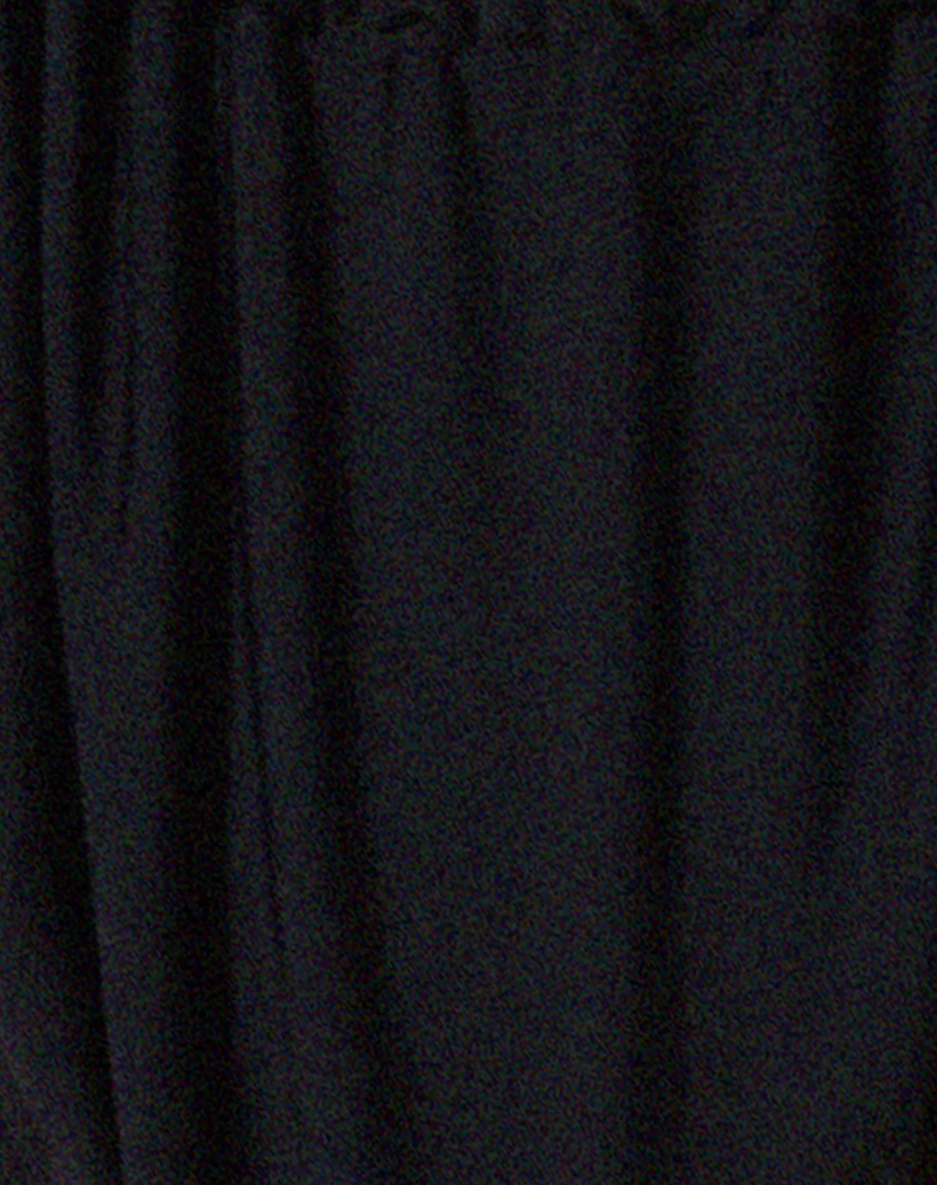 Leyna Bikiniunterteil in Schwarz - Image 7