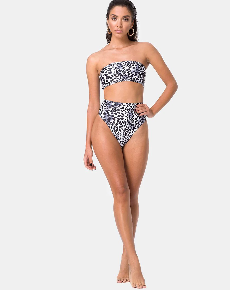 Lien Bikini-Unterteil in Dalmatiner