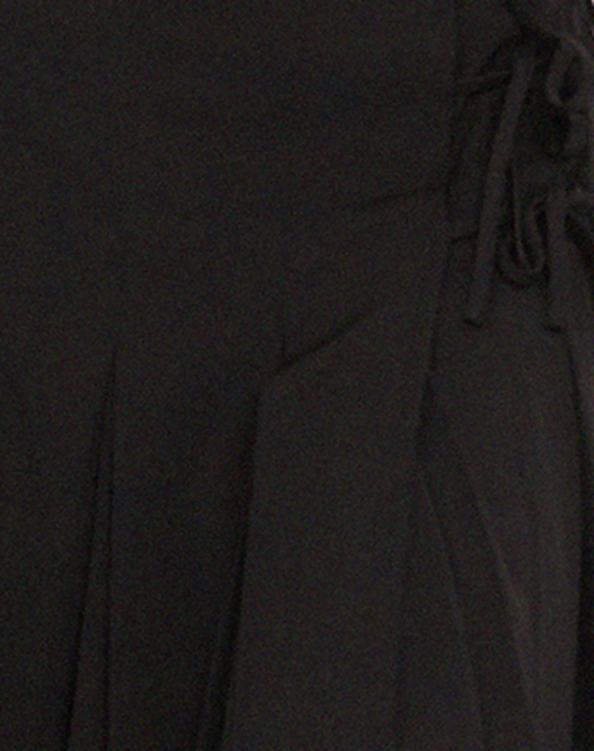 Madelyn Plissierter Midirock in Schwarz - Image 7