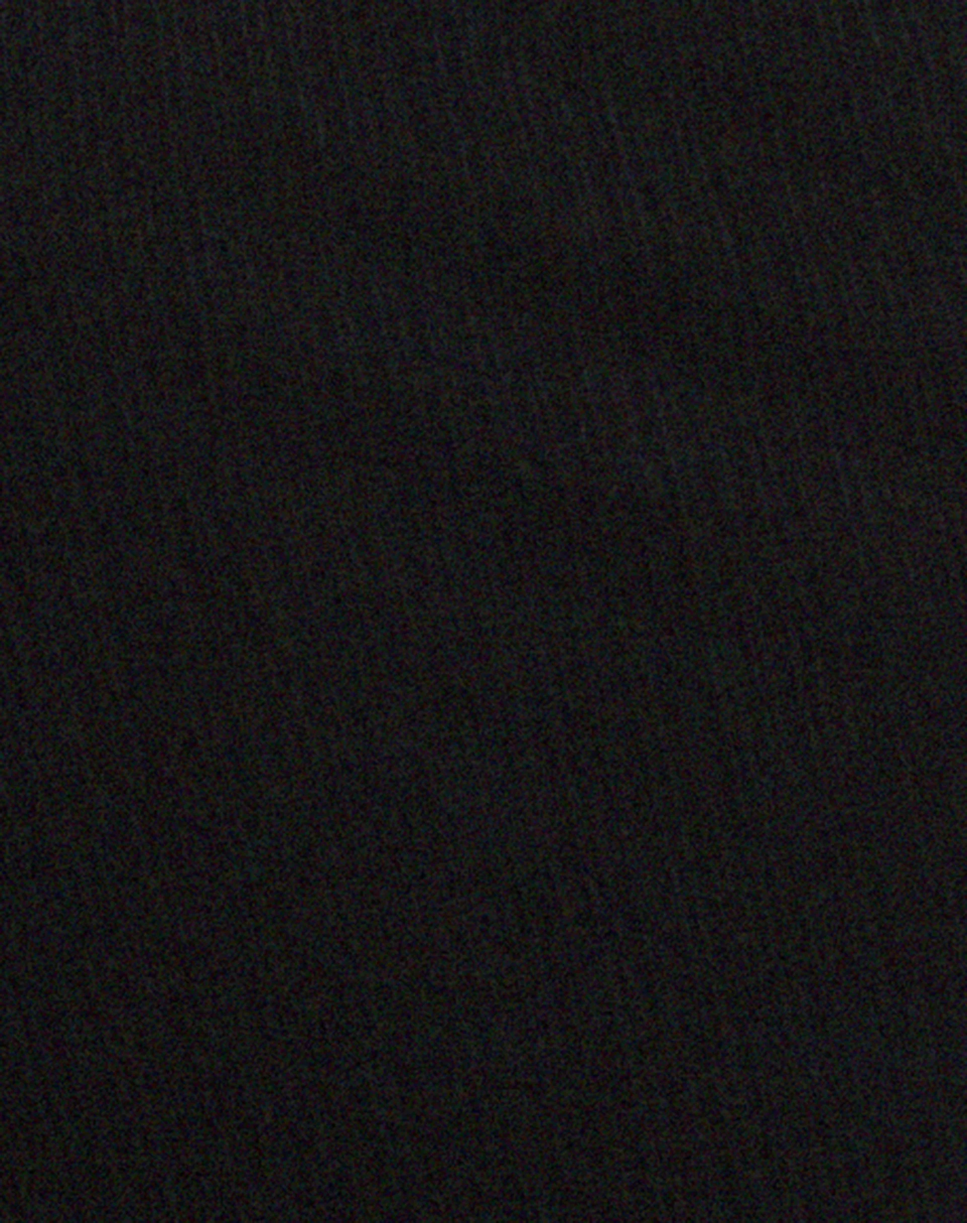 Magata Midirock aus Jersey Plise Schwarz - Image 5
