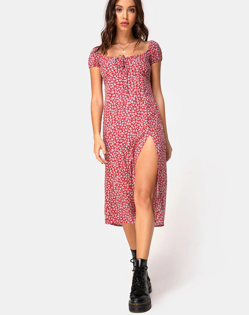 Milla Kleid in Ditsy Rose Rot Silber
