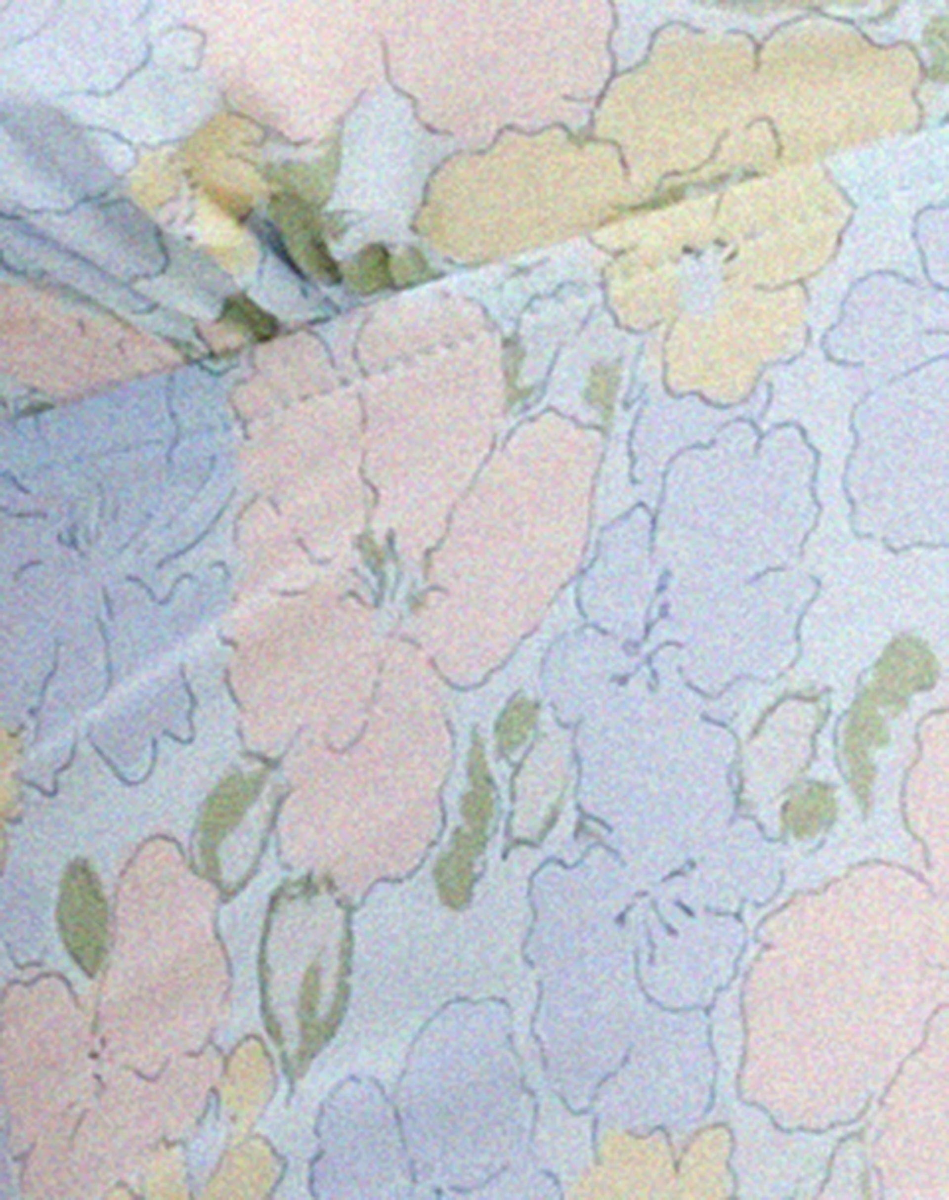 Nanda Crop Top in verwaschenem Pastell Floral - Image 6