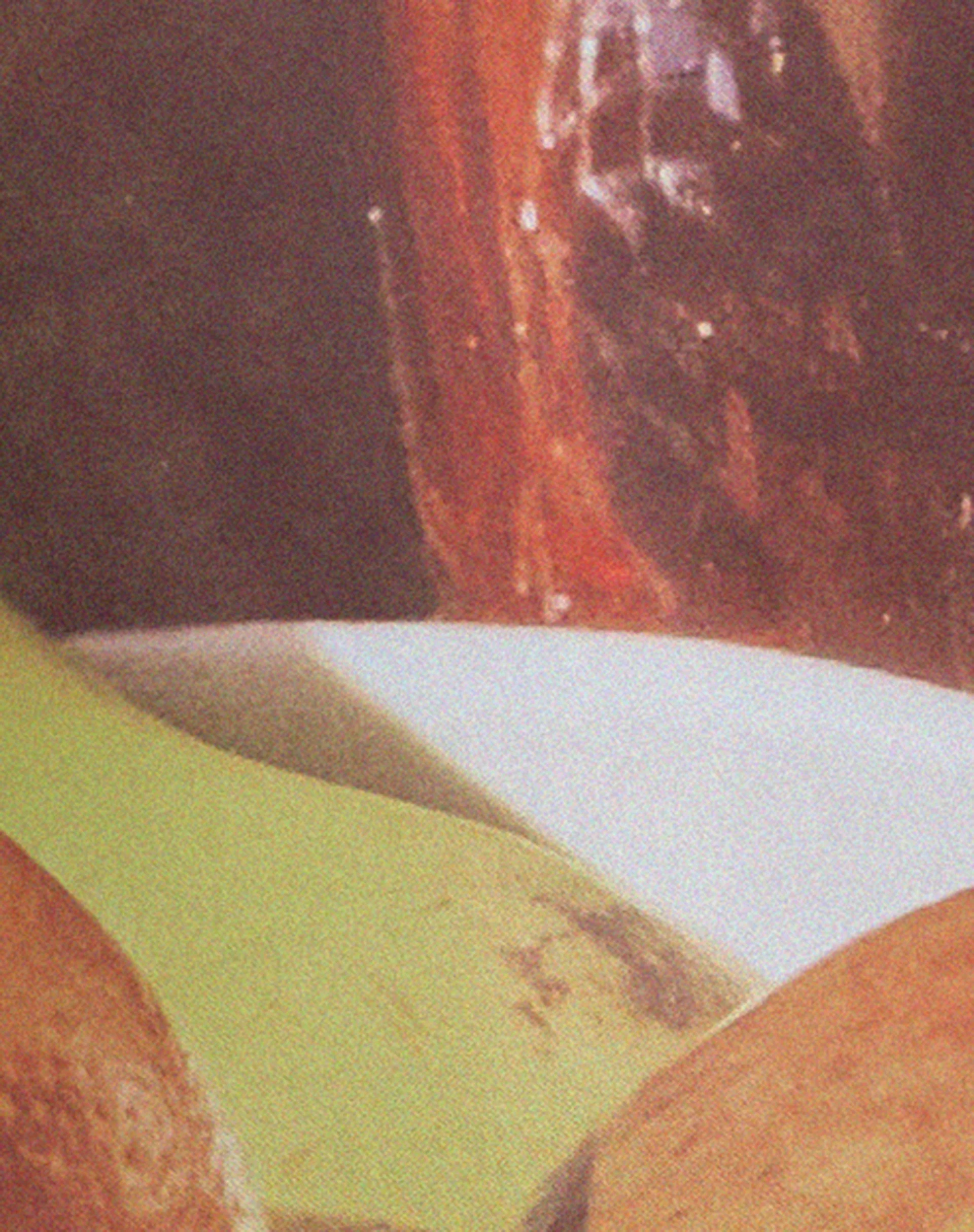 Nori Midikleid aus Obst-Fotoprint - Image 5