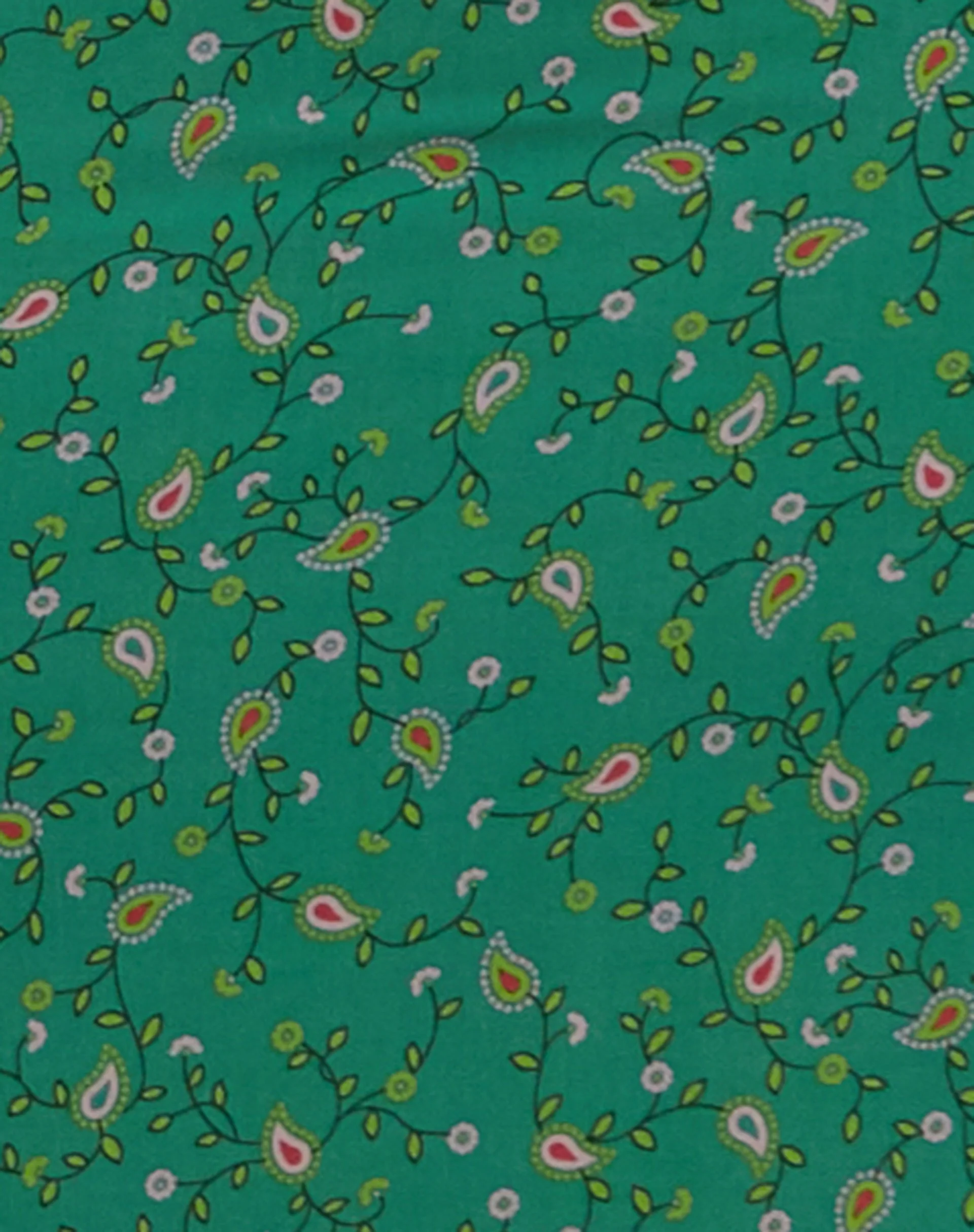 Nosita Midikleid In Paisley Fun Grün - Image 6