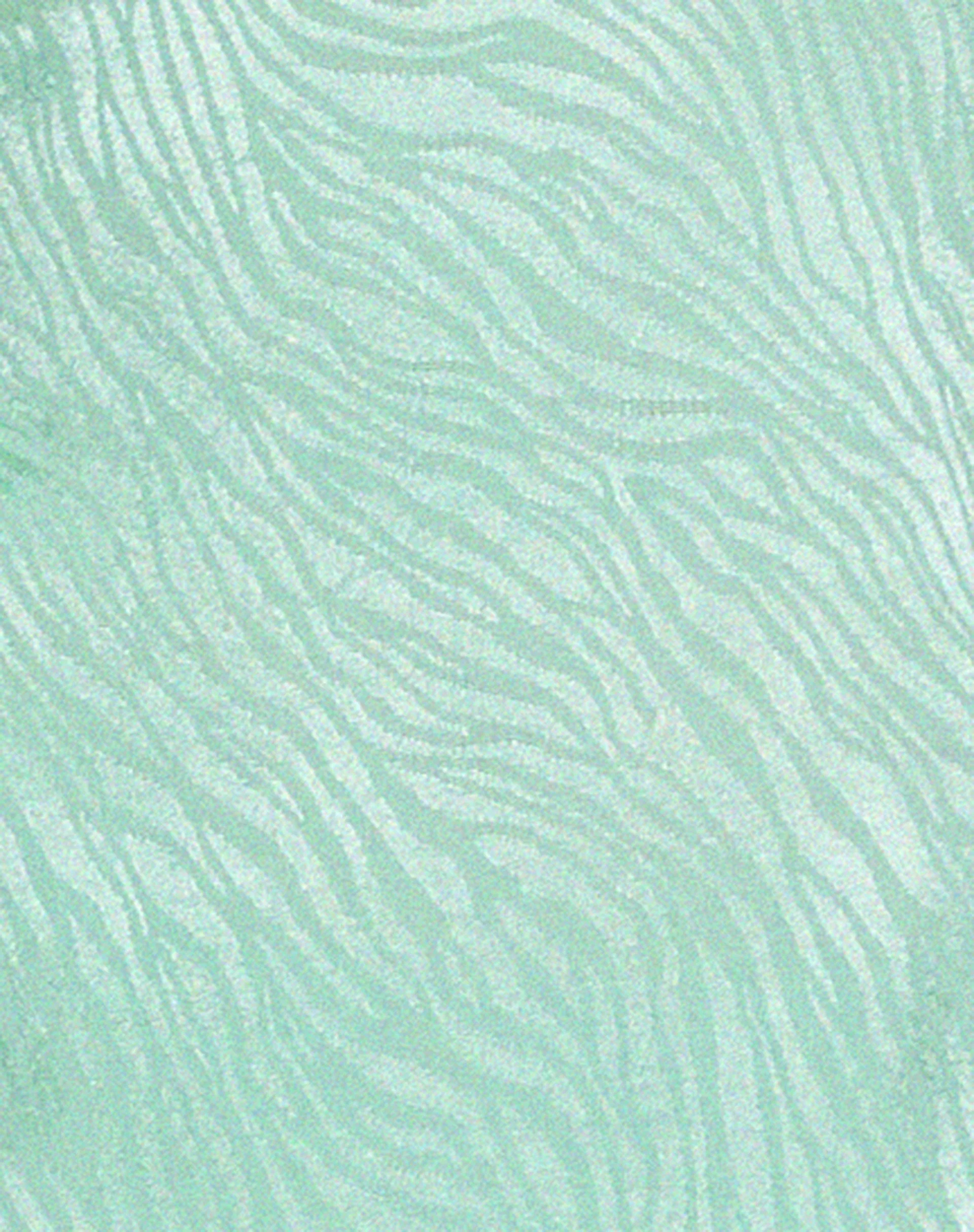 Nosita Midikleid aus Satin Zebra Mintgrün - Image 5