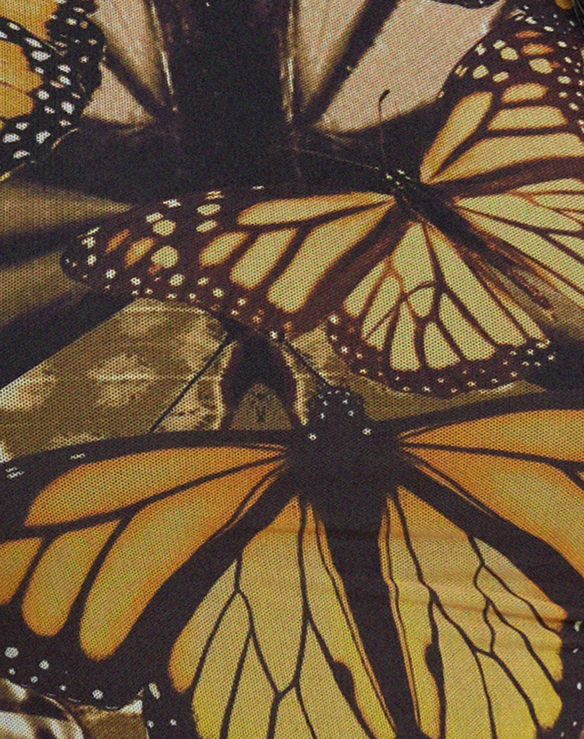 Onata Langärmeliges Minikleid in Butterfly Gold - Image 6