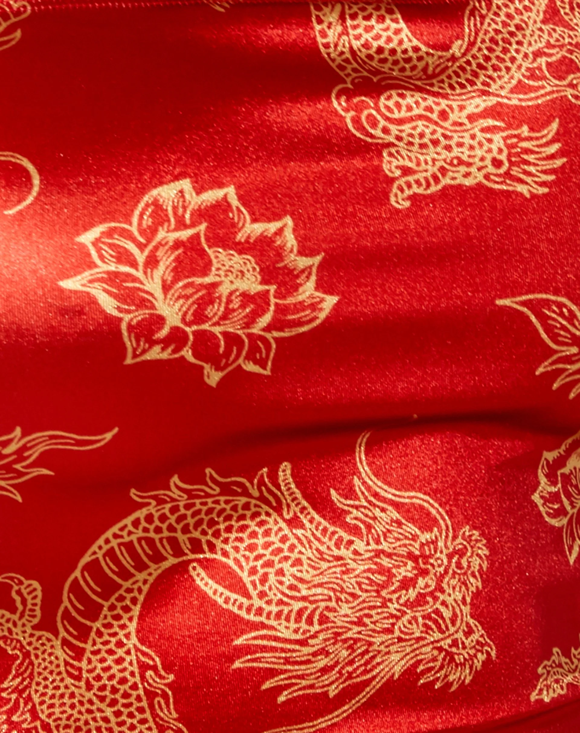 Ozka Crop Top in Drachenblume Rot und Gold - Image 5