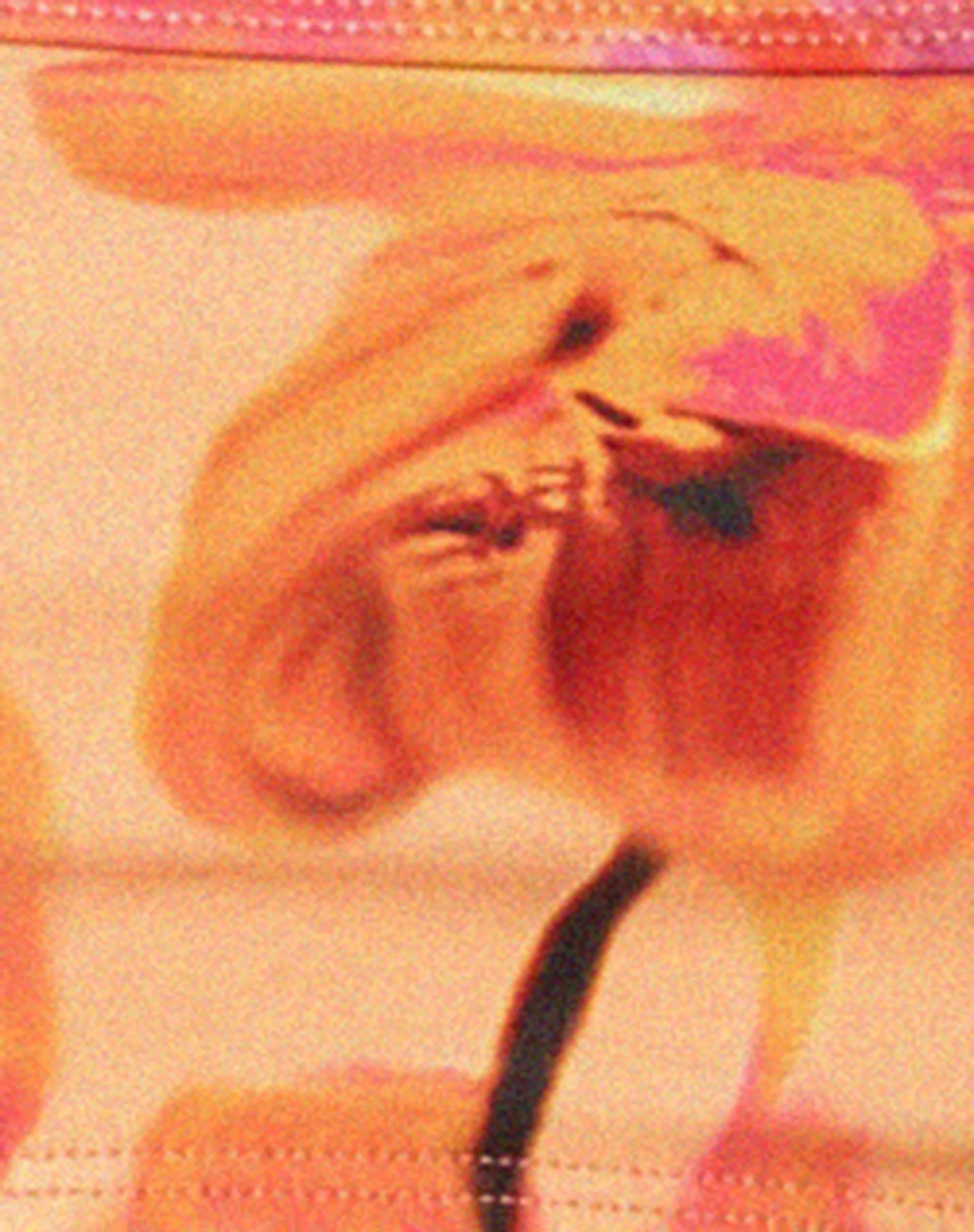 Pami Bikini-Oberteil in Blurred Orchid Peach - Image 7
