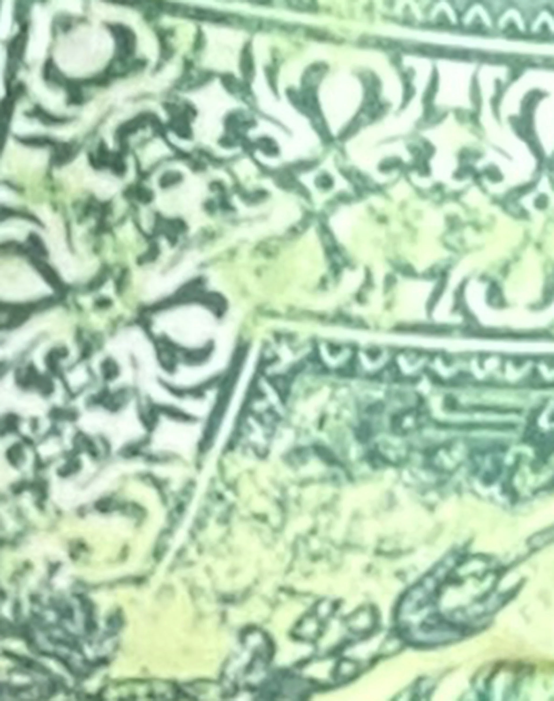 Pami Bikinioberteil in abstraktem Paisley Grün - Image 7