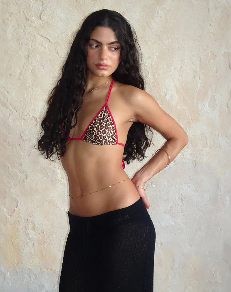 Pami Bikinioberteil in Rar Leopard mit kontrastierenden Bändern - Image 3