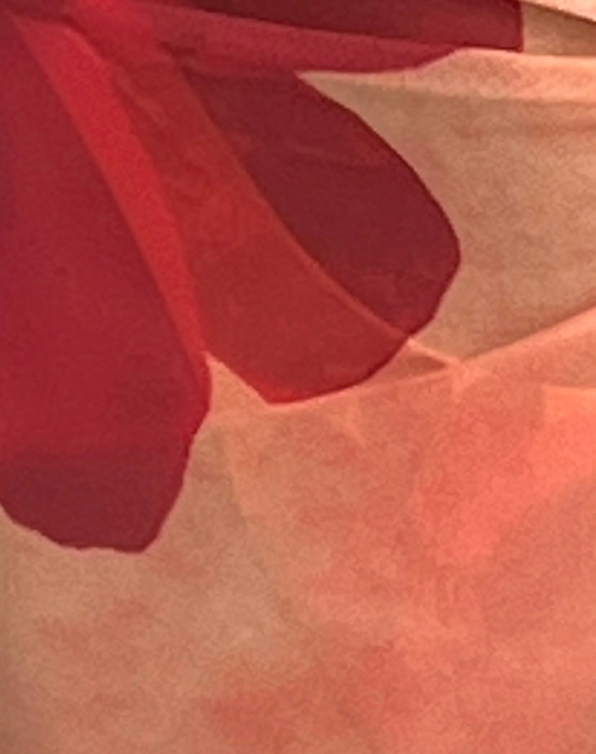 Pawon Mesh Sarong in Orange Blume - Image 6