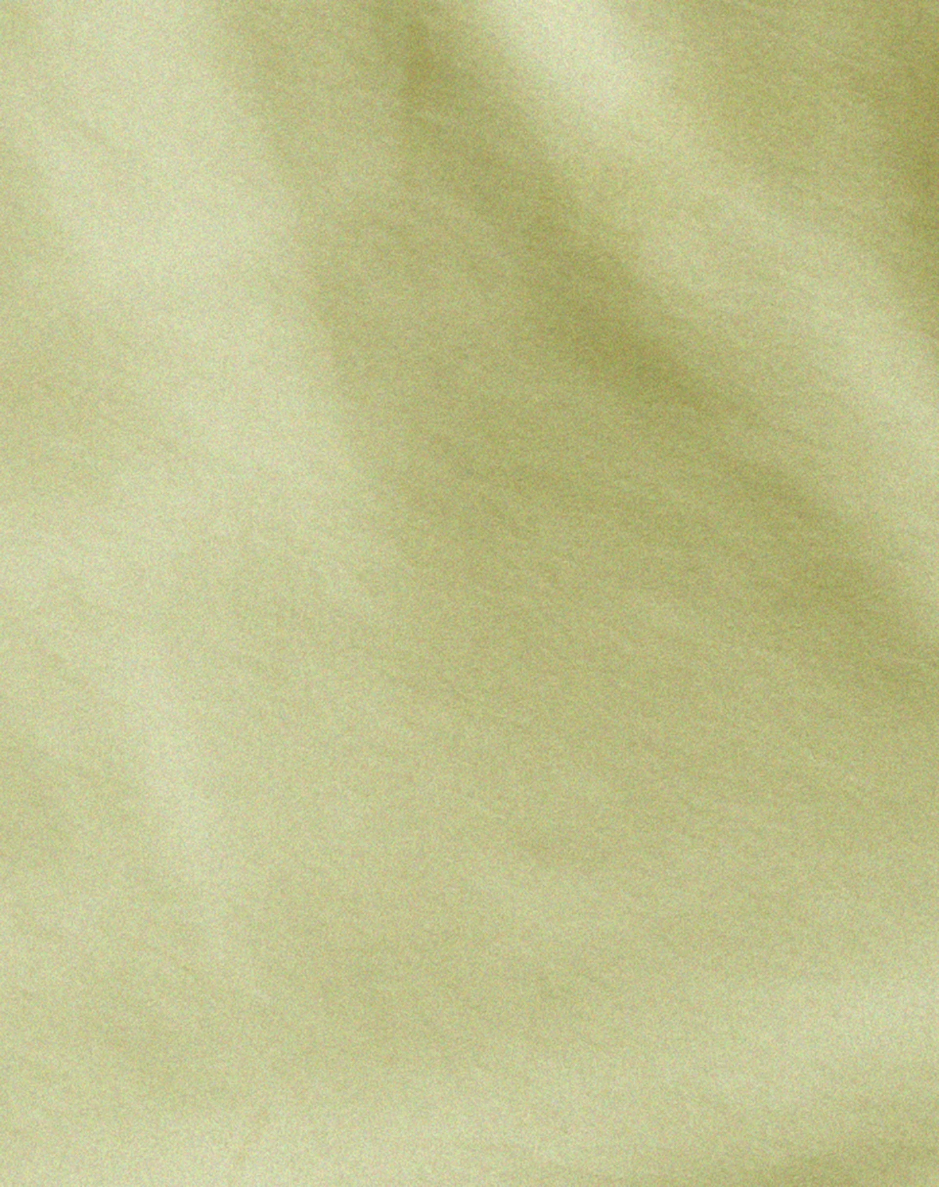 Pelma Minirock aus Satin Nilgrün - Image 7
