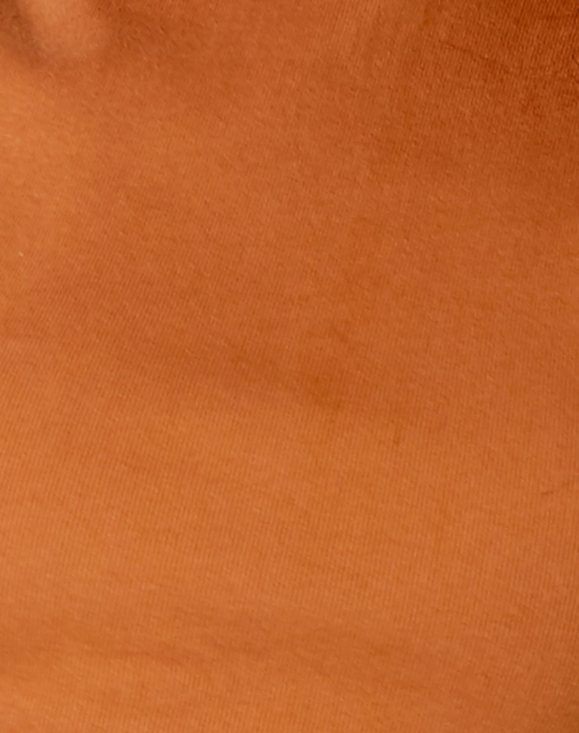 Quera Crop Top in Rippe gesalzenes Karamell - Image 5