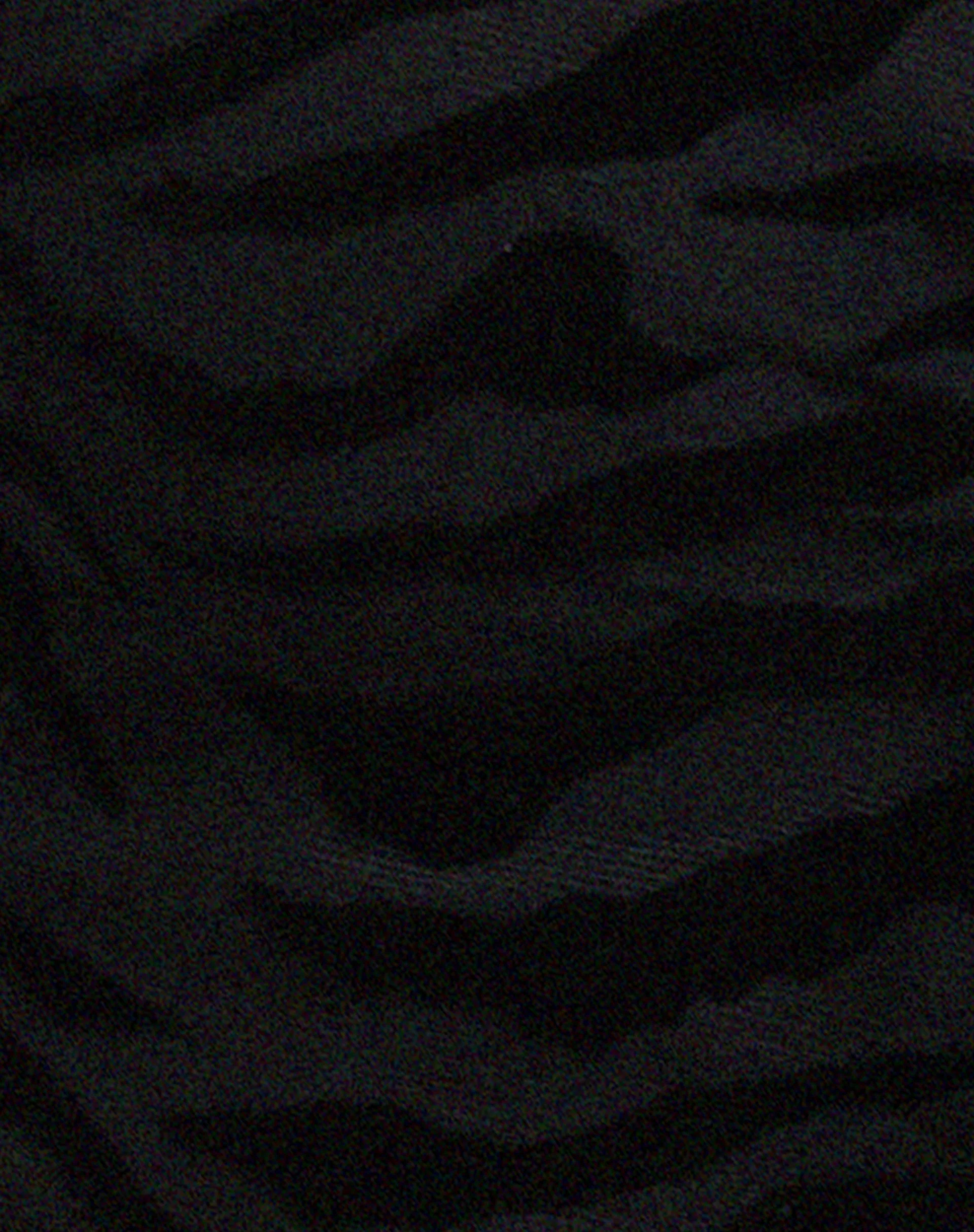 Rayu Top in Zebraflock Schwarz - Image 5