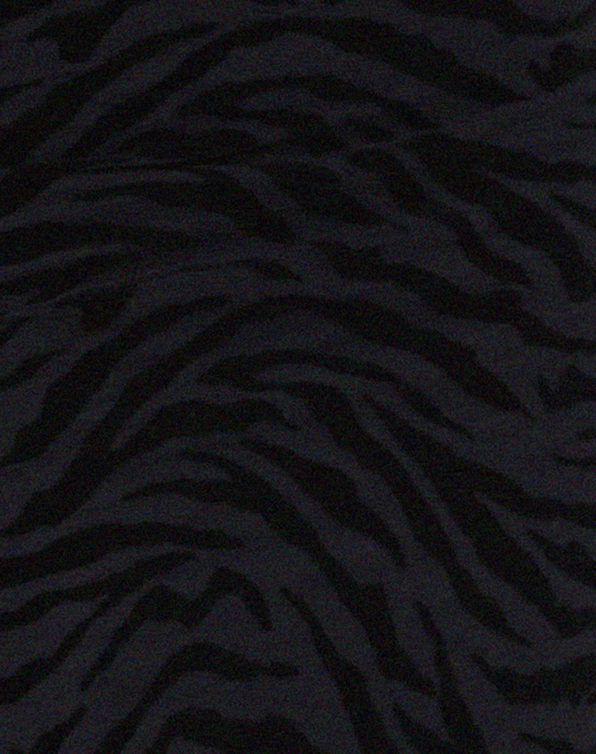 Rayuma Maxikleid in Zebraflocke Schwarz - Image 7