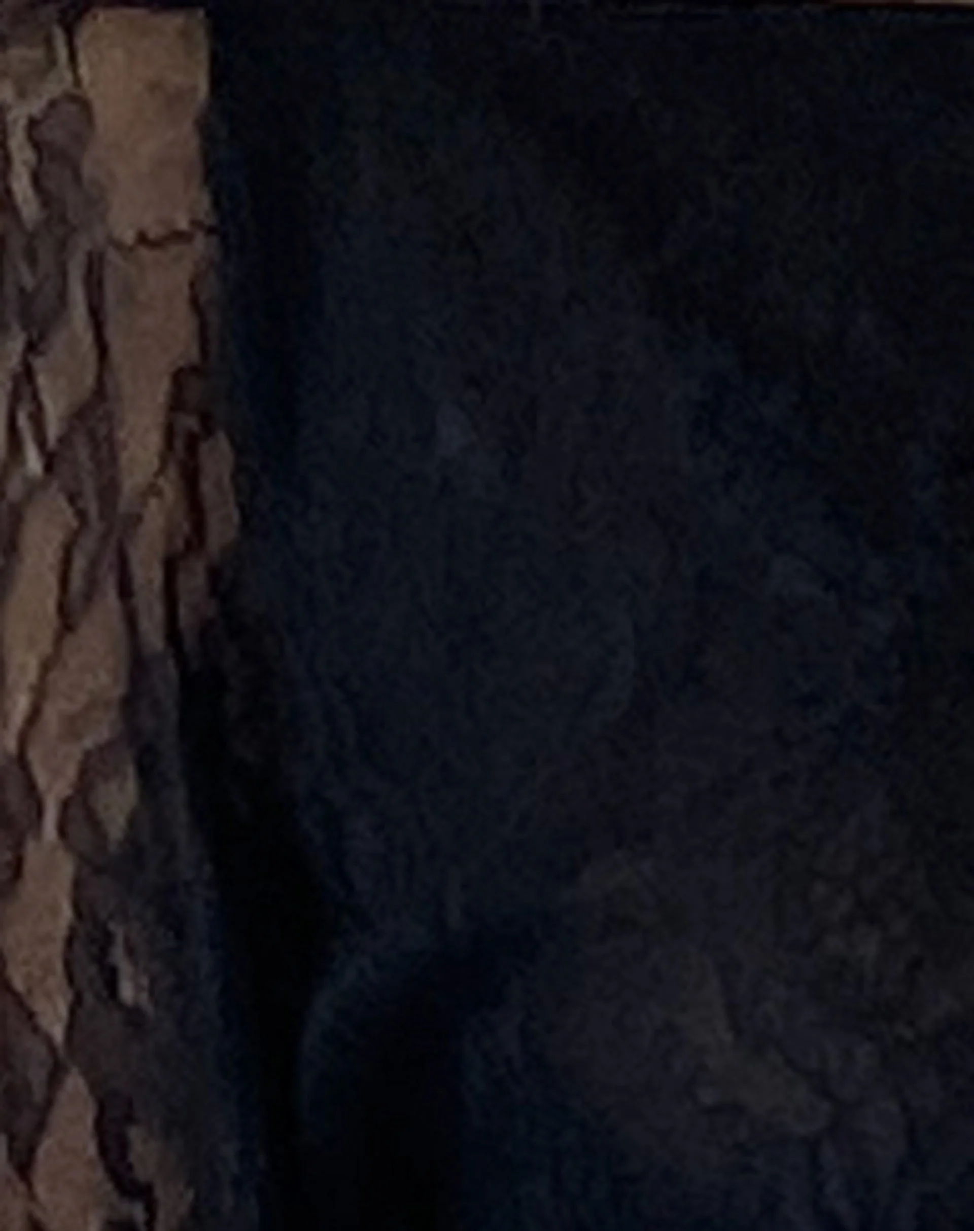 Rory Langärmeliges Top aus Spitze in Schwarz - Image 7