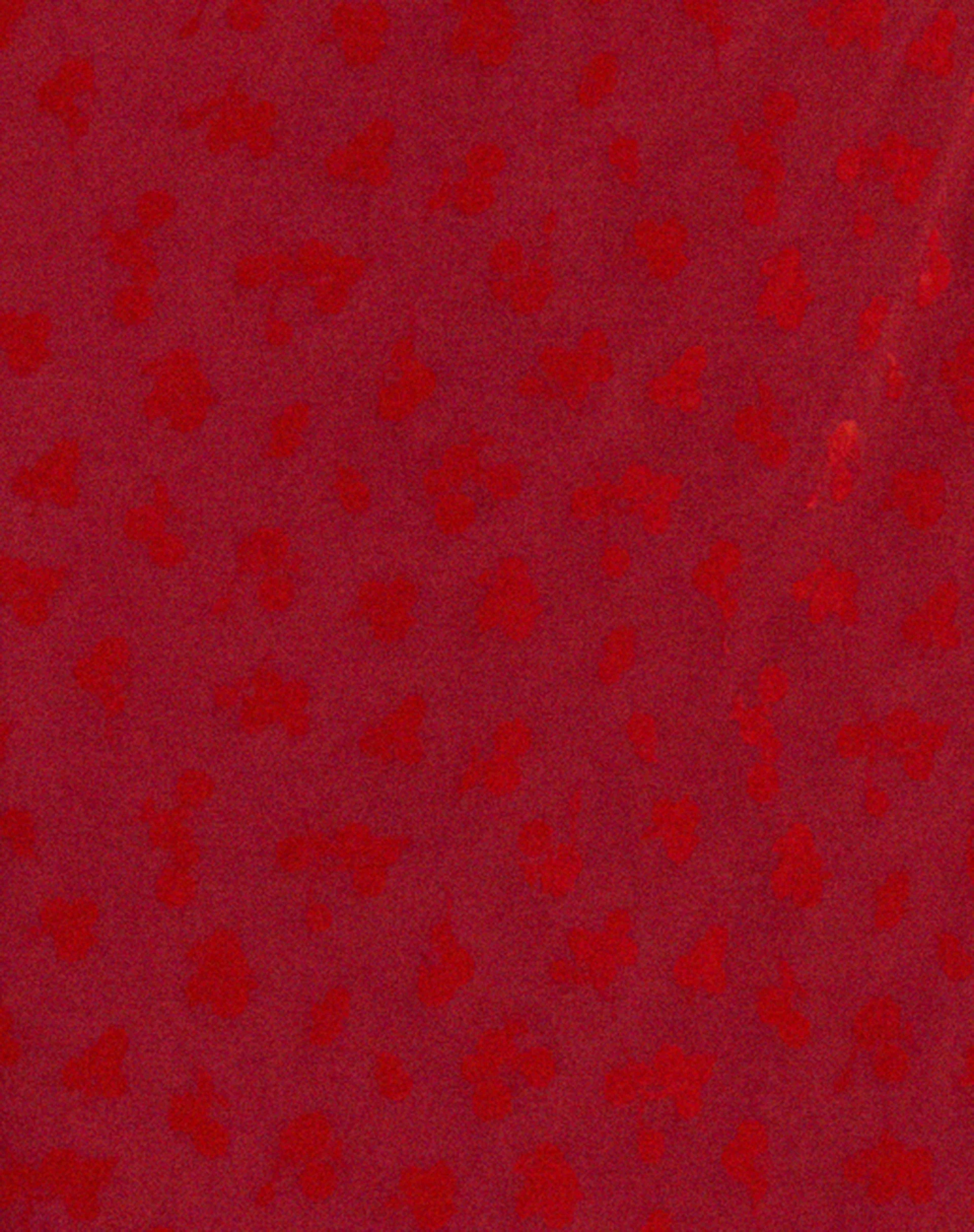 Rujha Midirock aus rotem Flock-Mesh - Image 5
